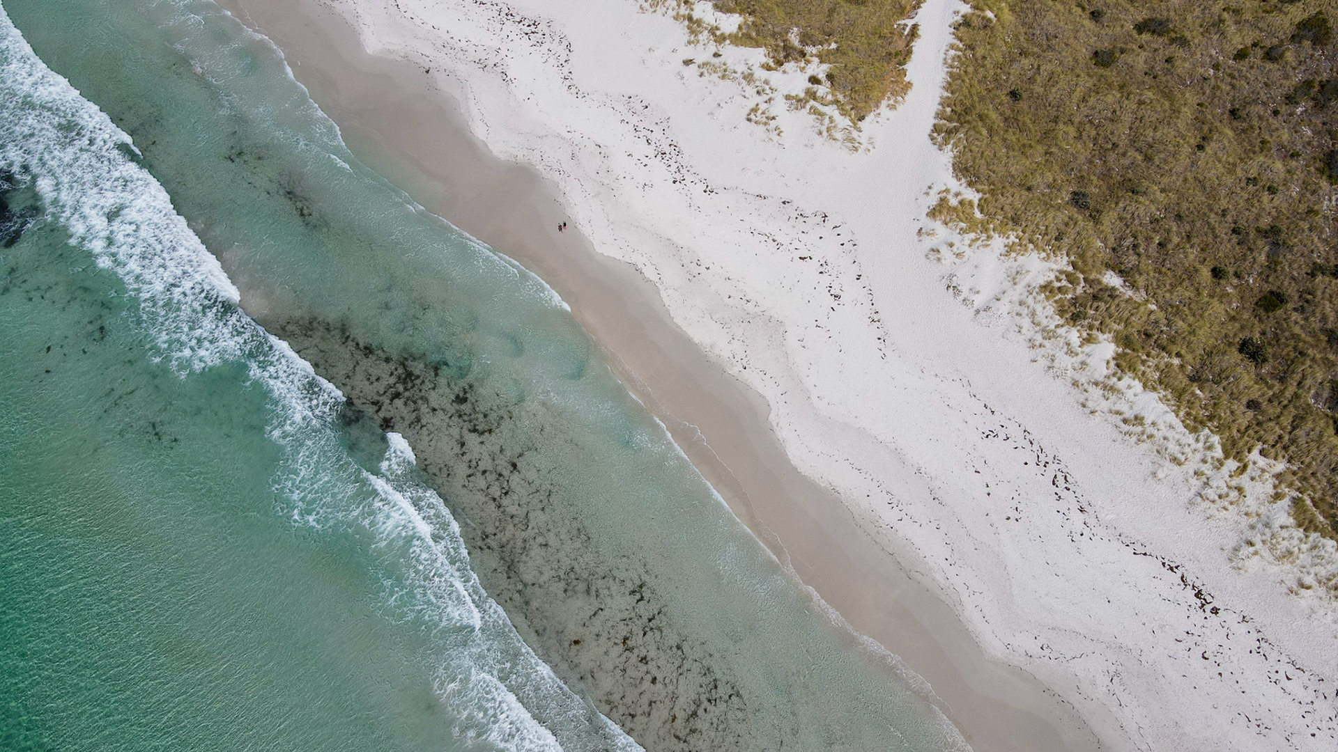 An aerial view showcases a serene beach where gentle waves lap against the sandy shoreline, framed by natural dunes and grass.