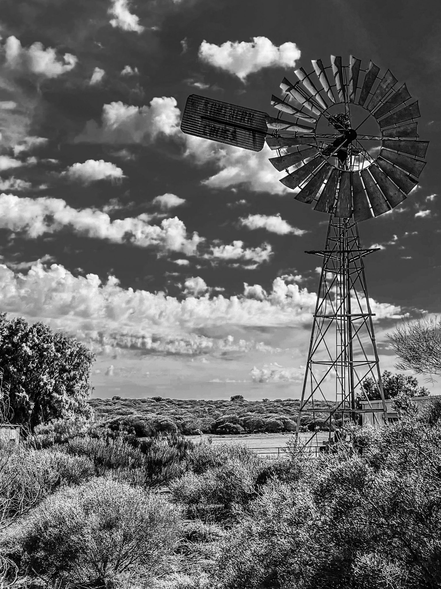 A classic windmill in black and white showcases resilience in rural agriculture, set against a dramatic sky and arid landscape.