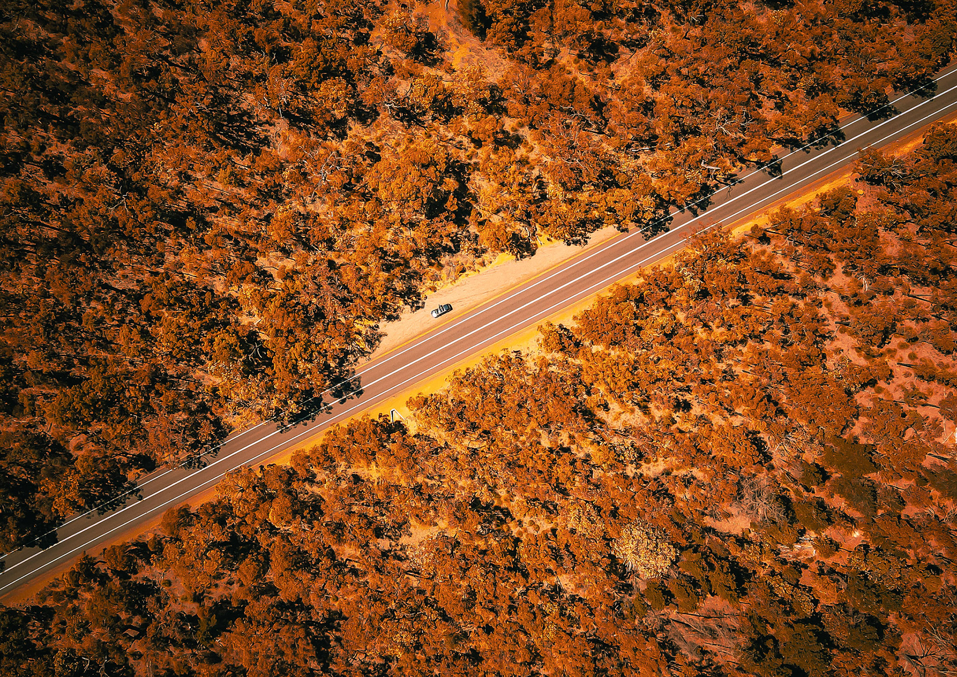 A top-down aerial view of a straight two-lane road cutting diagonally through dense, rust-orange bushland. A single vehicle is pulled onto the sandy shoulder, casting a short shadow in warm late-afternoon light. The textured canopy and red soil contrast sharply with the smooth asphalt and crisp white lane markings.