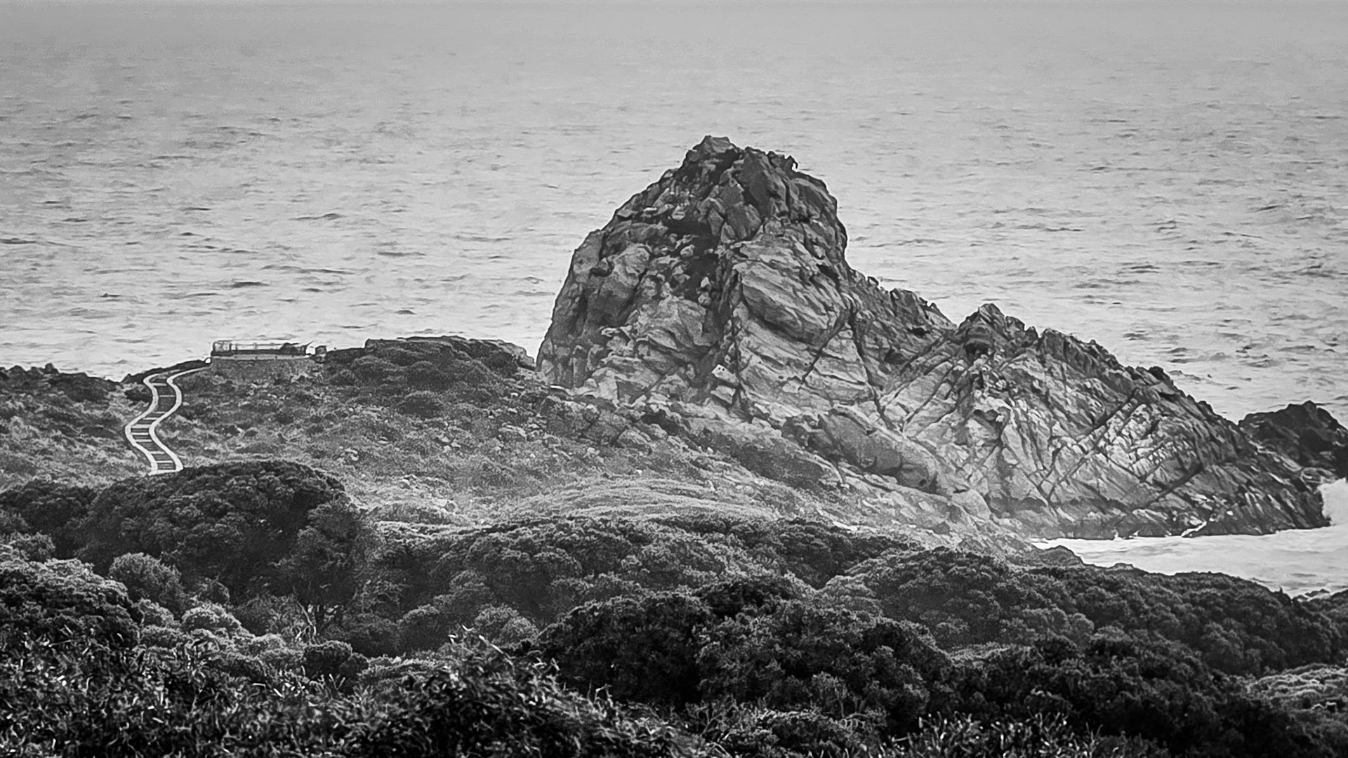 This black and white image captures a dramatic coastal rock formation jutting out from the ocean, surrounded by lush vegetation. A winding boardwalk leads to a scenic lookout point, offering a breathtaking view of the natural scenery. The overcast sky and rugged textures enhance the moody and serene ambiance, perfect for themes of exploration and nature's beauty.