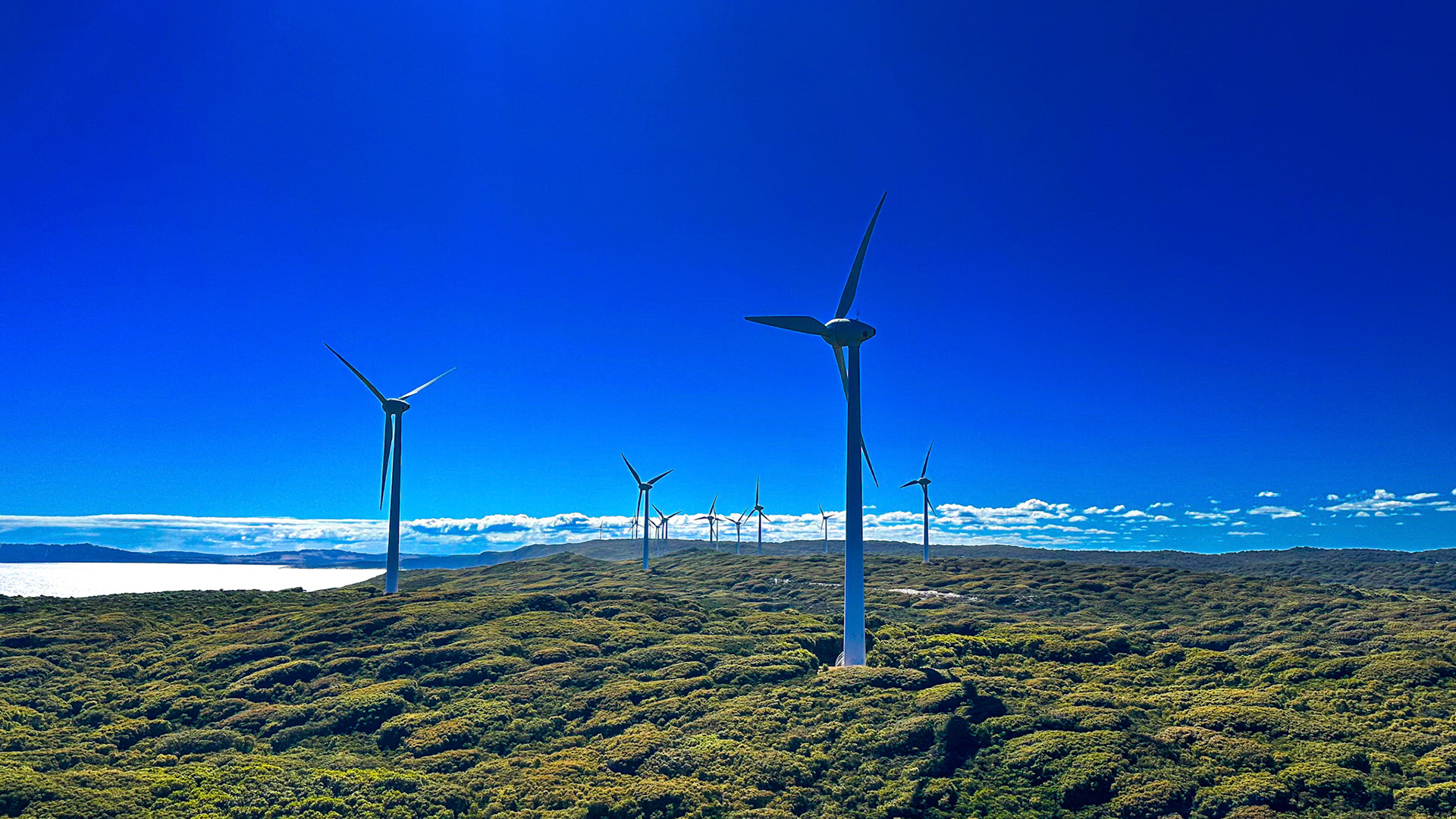 A line of wind turbines stands tall, generating renewable energy in a serene landscape. The blue sky enhances the scene.