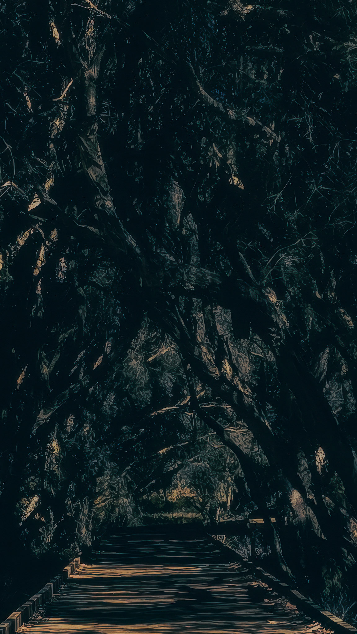 A dark, atmospheric pathway through a dense forest evokes mystery and adventure, showcasing nature's beauty and tranquility.