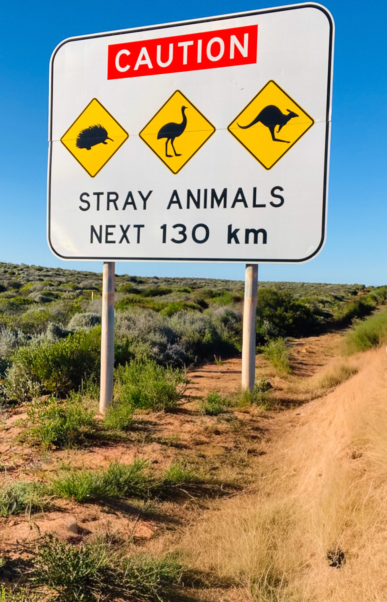 A road sign warns of stray animals, including kangaroos, emus, and Quokkas, in a Australia. Stay alert for wildlife hazards.