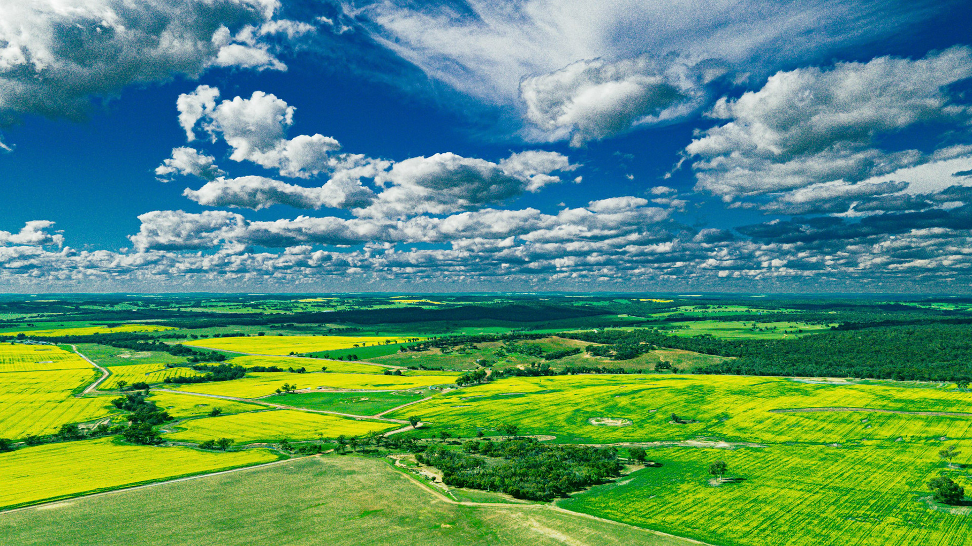 Stunning aerial view showcasing expansive fields in vibrant green and yellow hues under a dramatic sky filled with fluffy clouds. The panoramic scene captures the natural beauty and diversity of rural landscapes, offering a sweeping vista that highlights agricultural patterns and lush greenery. The photograph is taken in bright daylight, enhancing the vivid colors and providing a clear, detailed view of the land?s contours and textures.