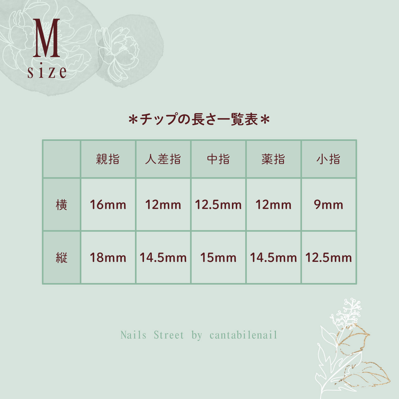 <ネイルチップ>の説明用画像