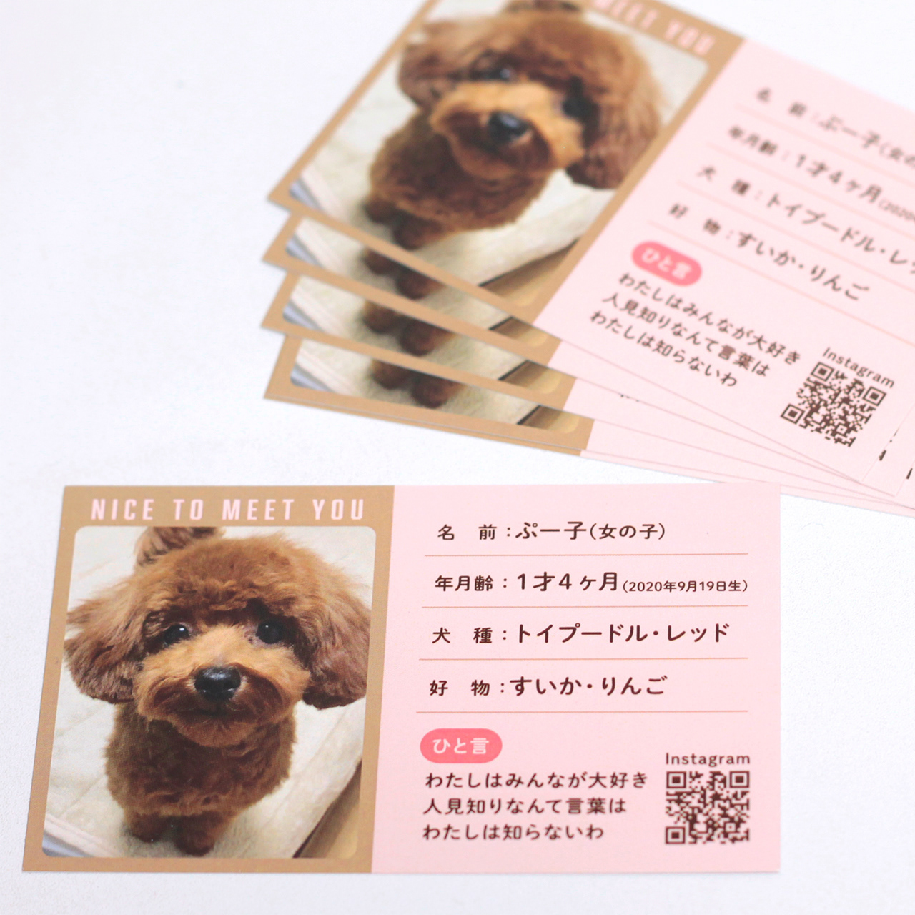 ペットのお名刺