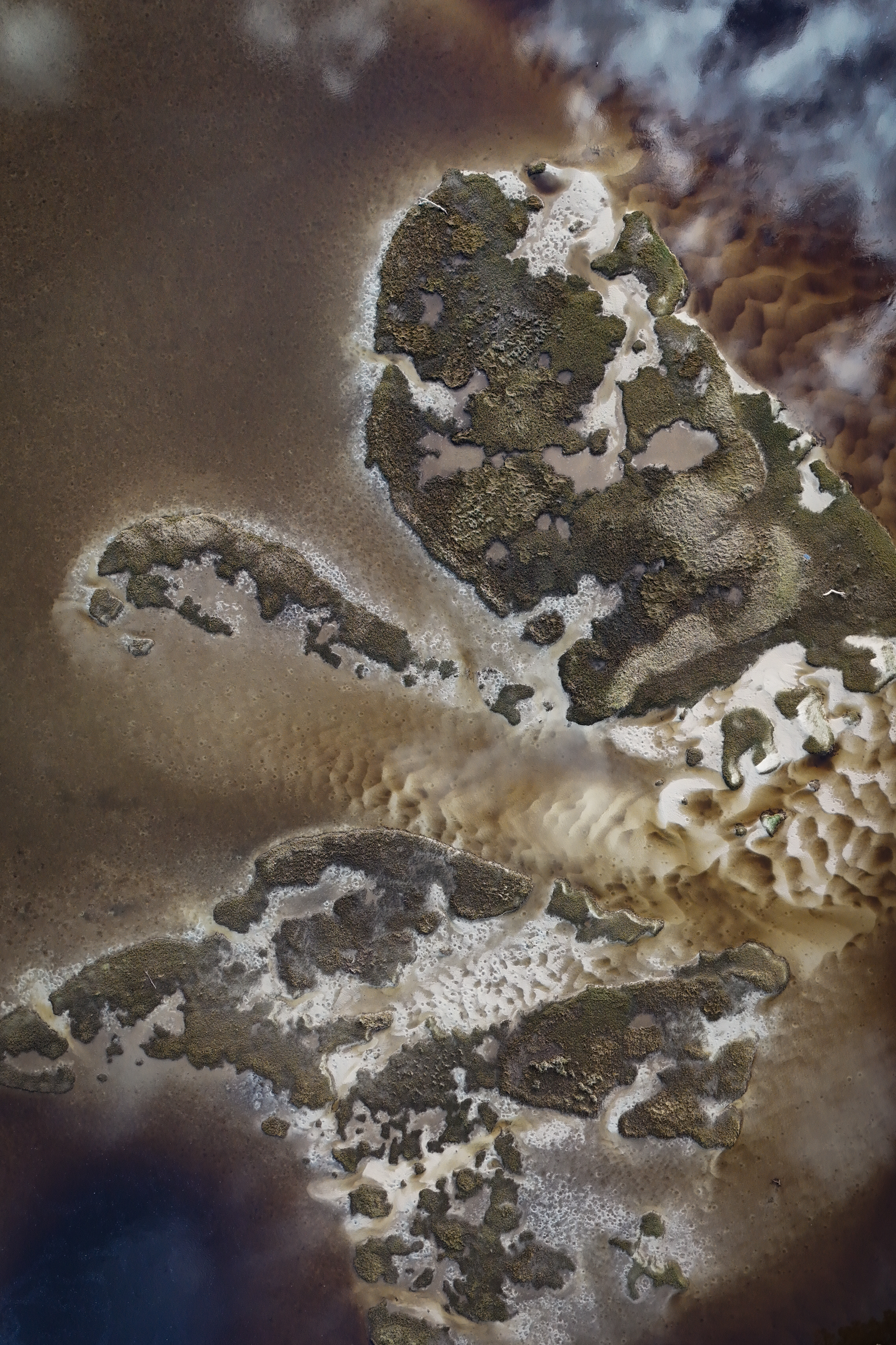 "The Swan & The Raven"