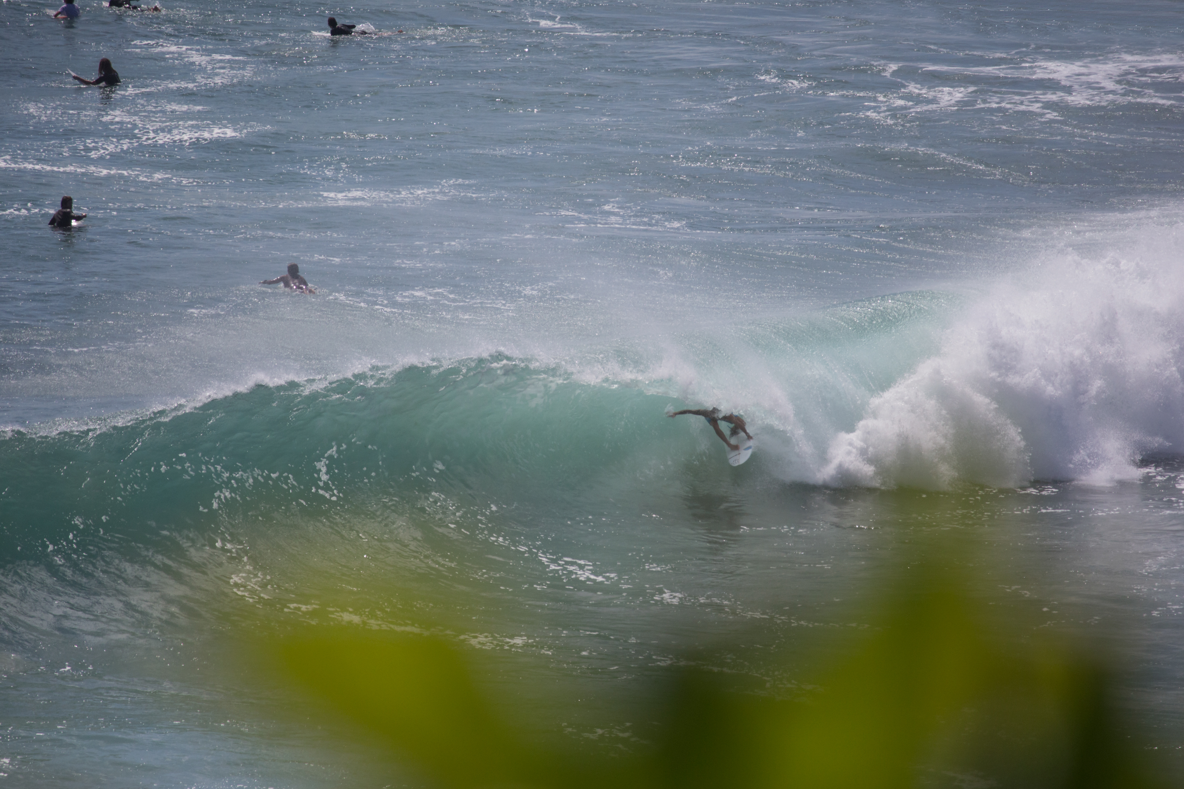 Surfer - Jeames Young