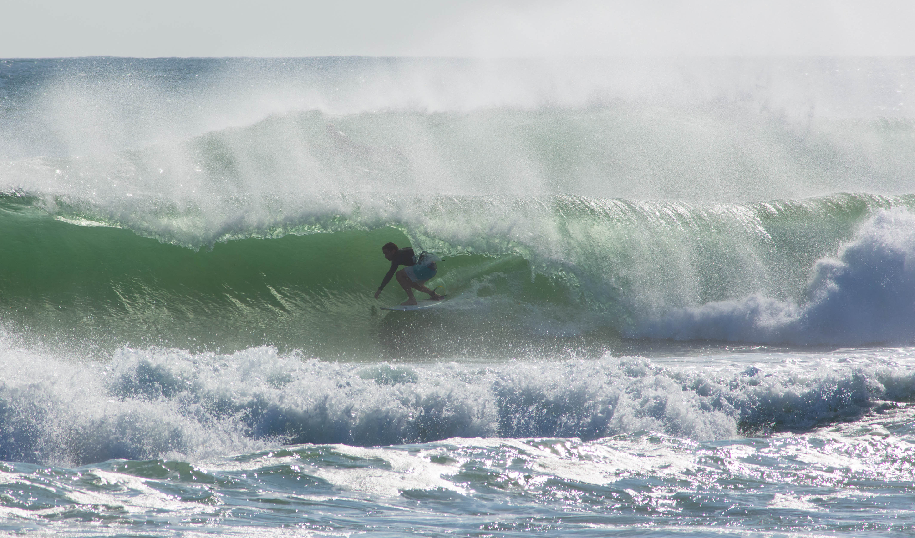 Surfer - Troy U