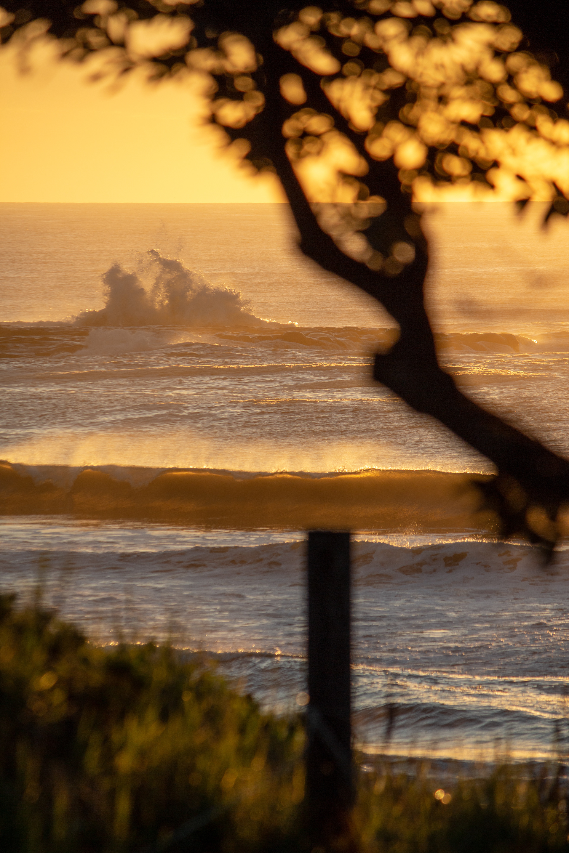 "Sunrise Solitude" Pt. 2