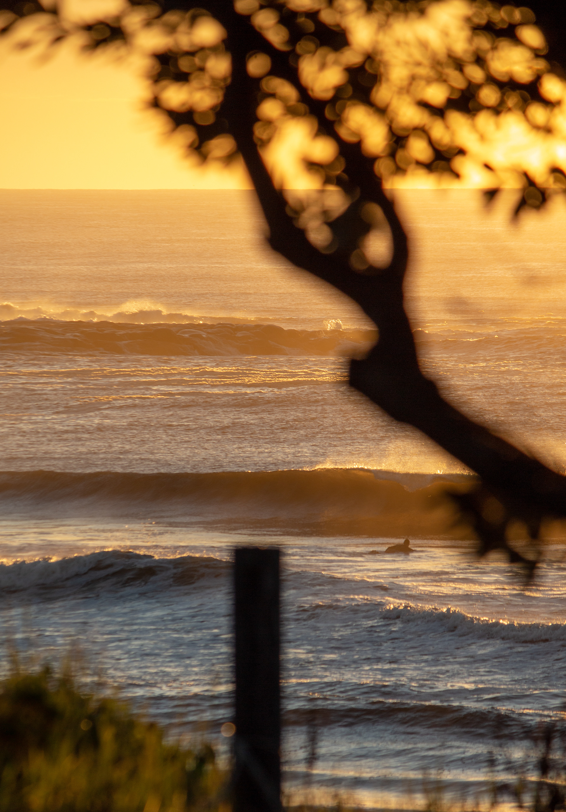 "Sunrise Solitude" Pt. 1