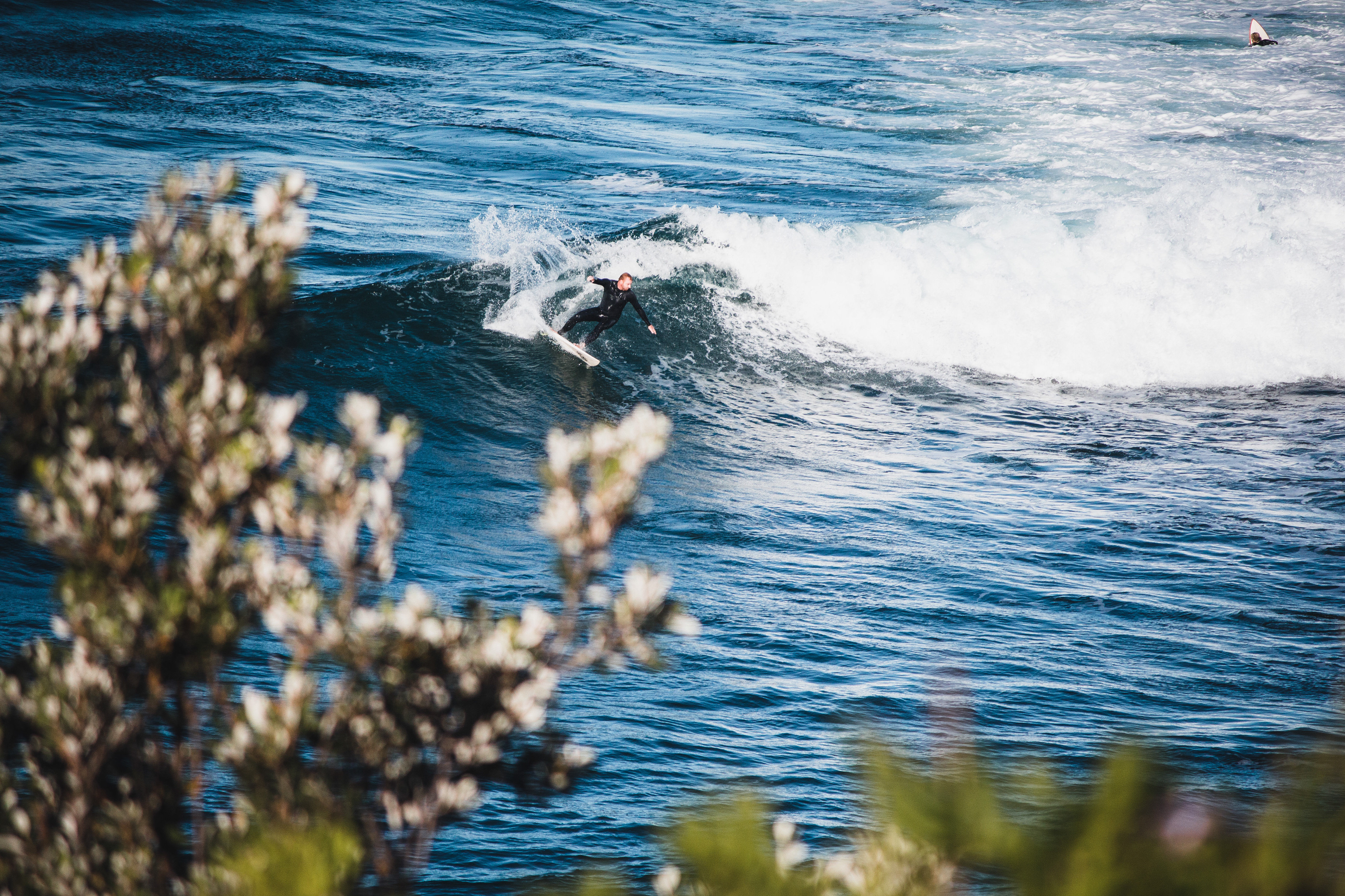 Surfer - Zane Bryne