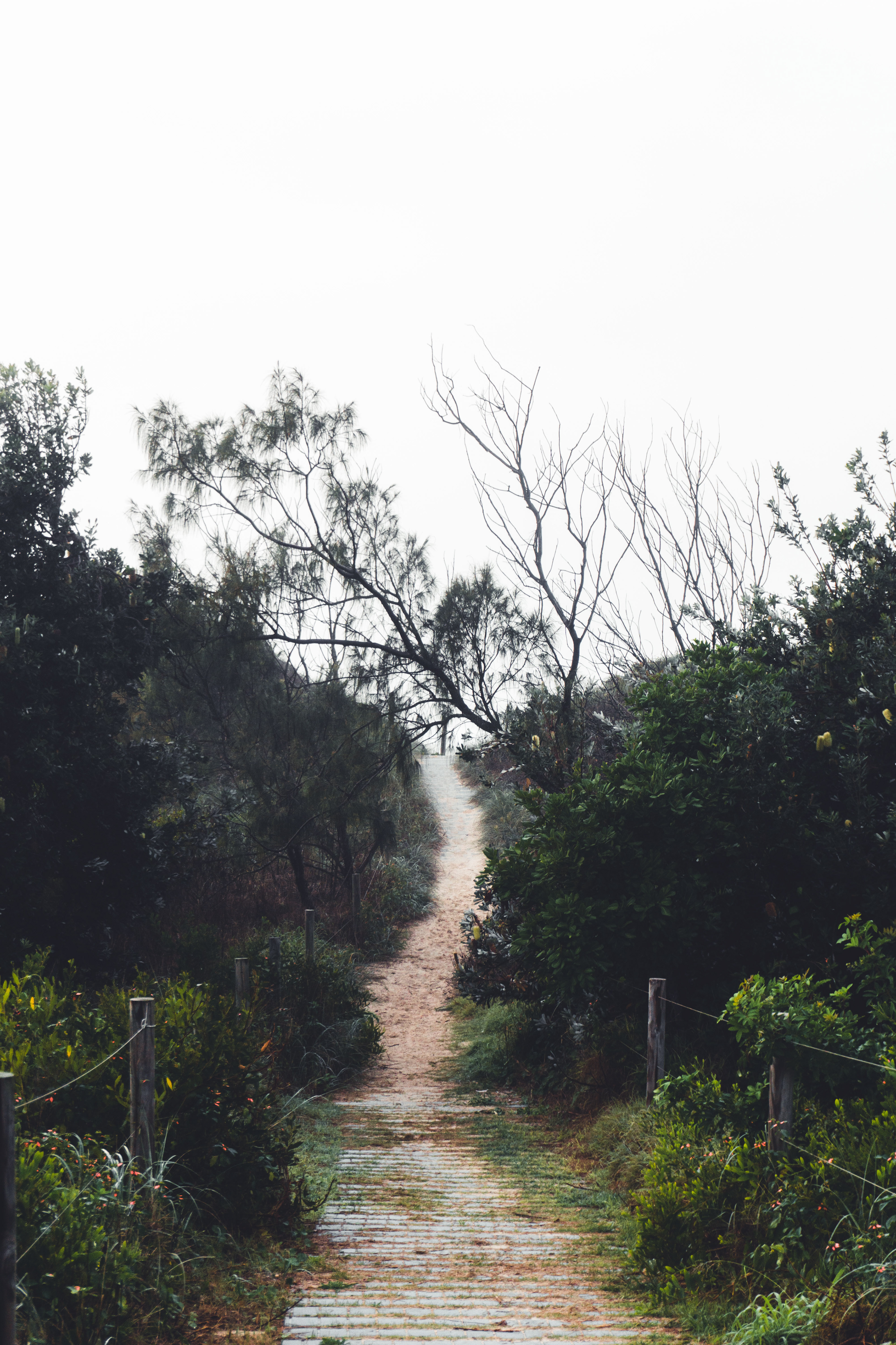 "Pathway to the sky"