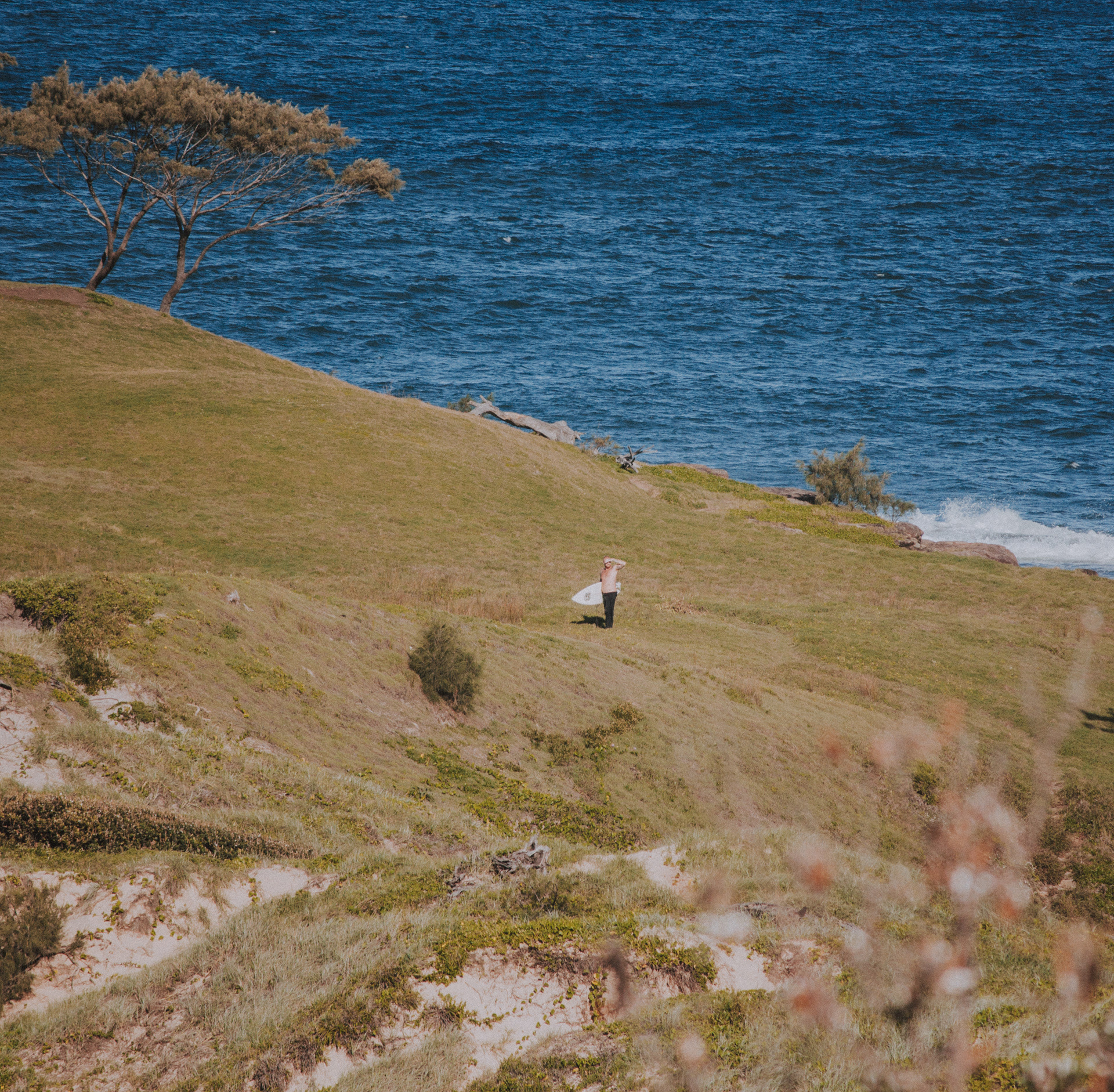 Surfer - Zane Bryne