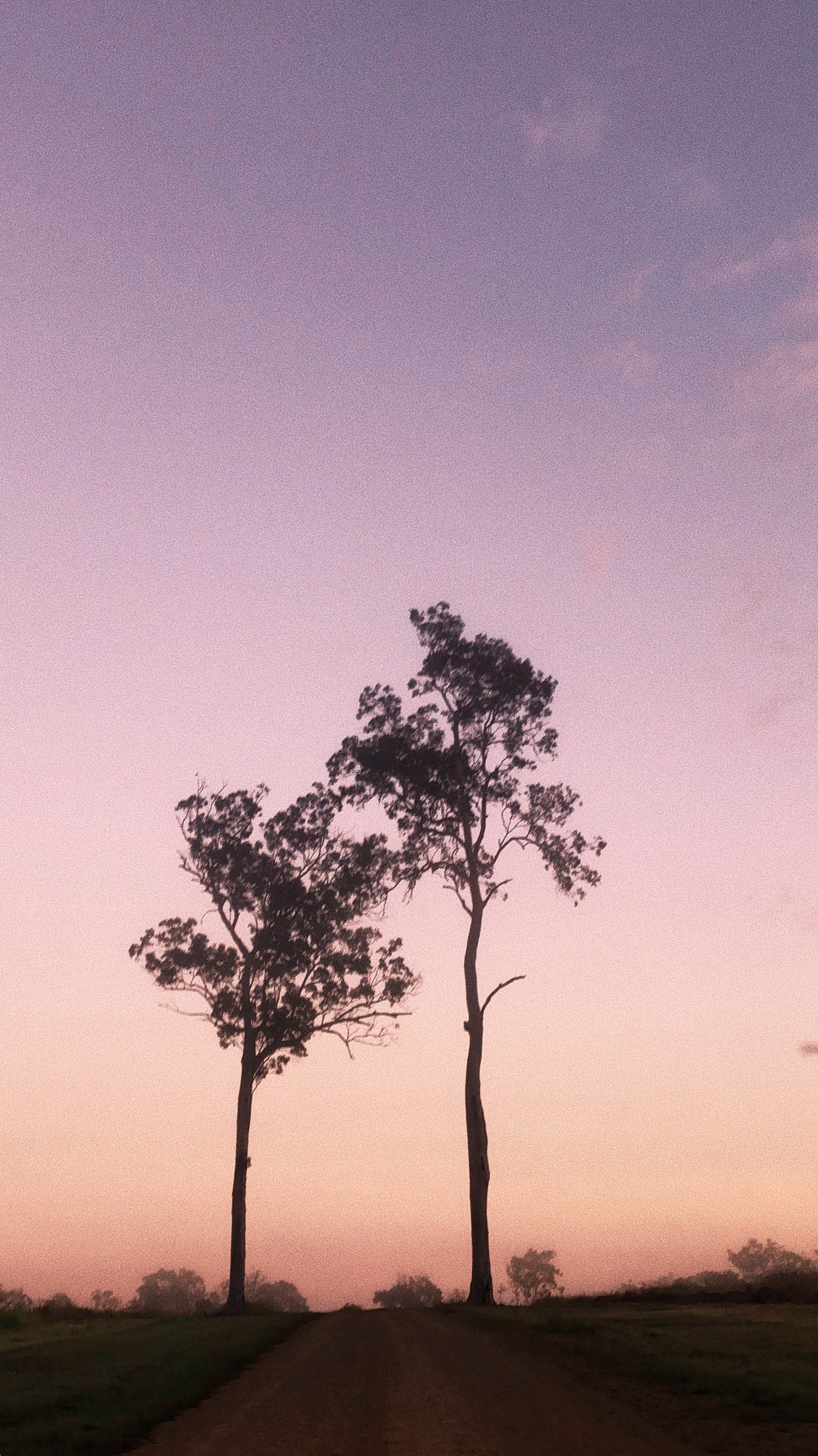 "Isolation" Won ViewBug Summer 2020