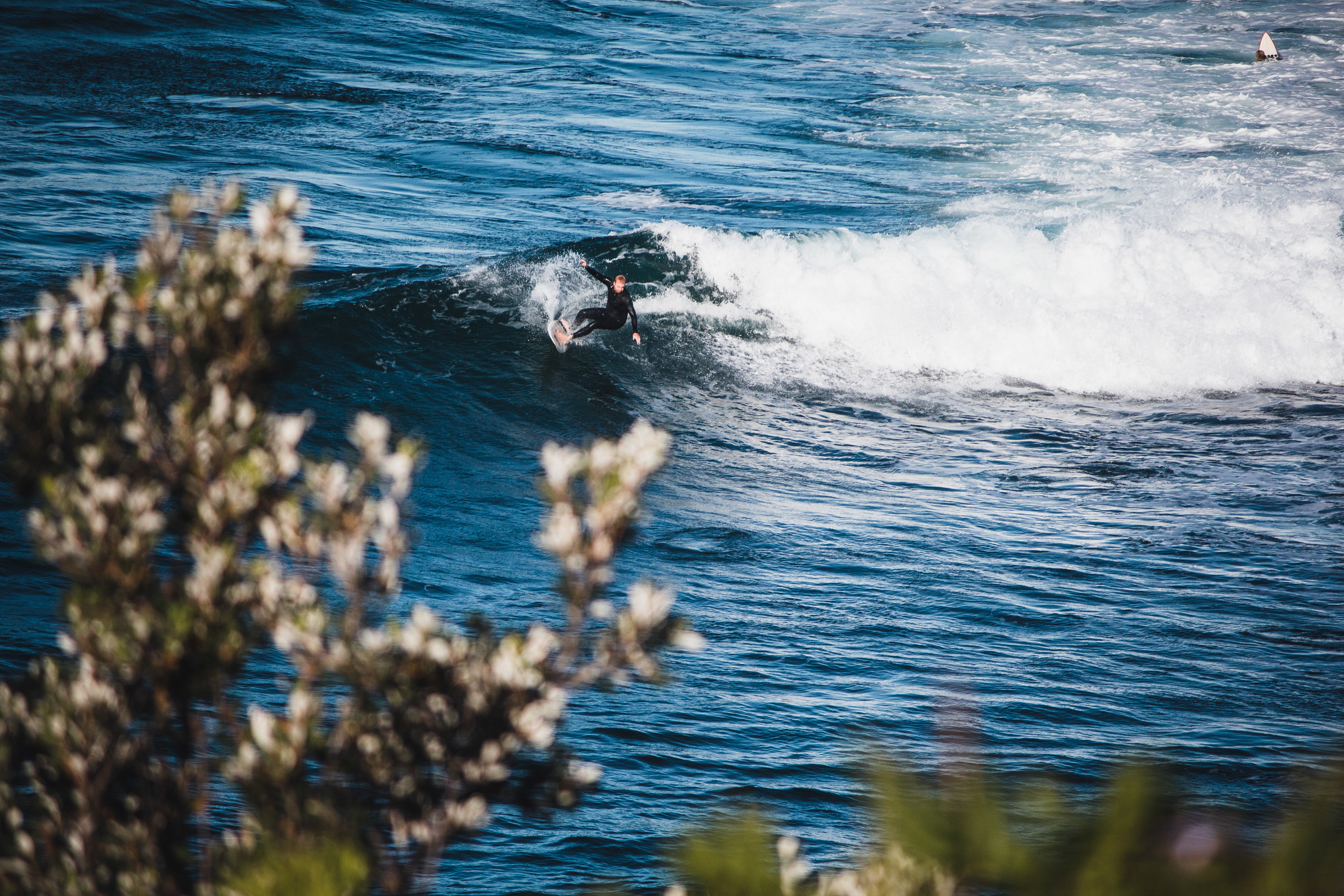 Surfer - Zane Bryne