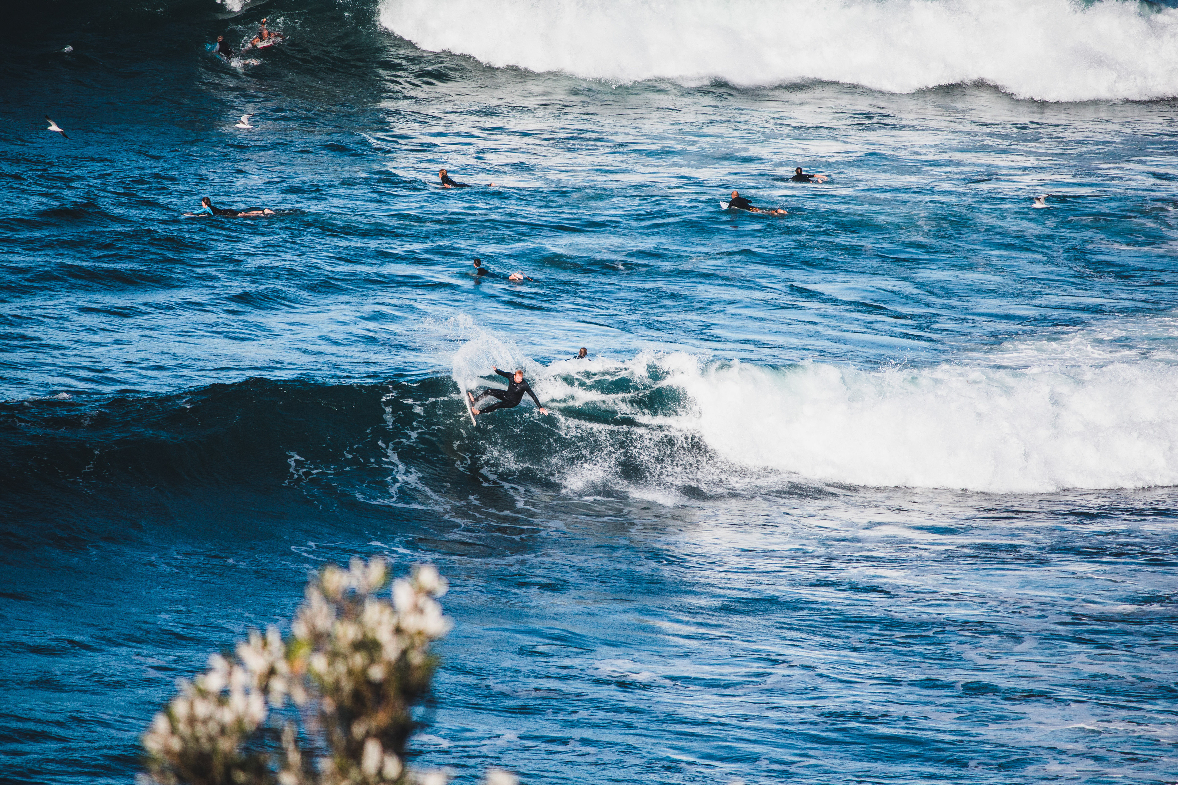 Surfer - Zane Bryne