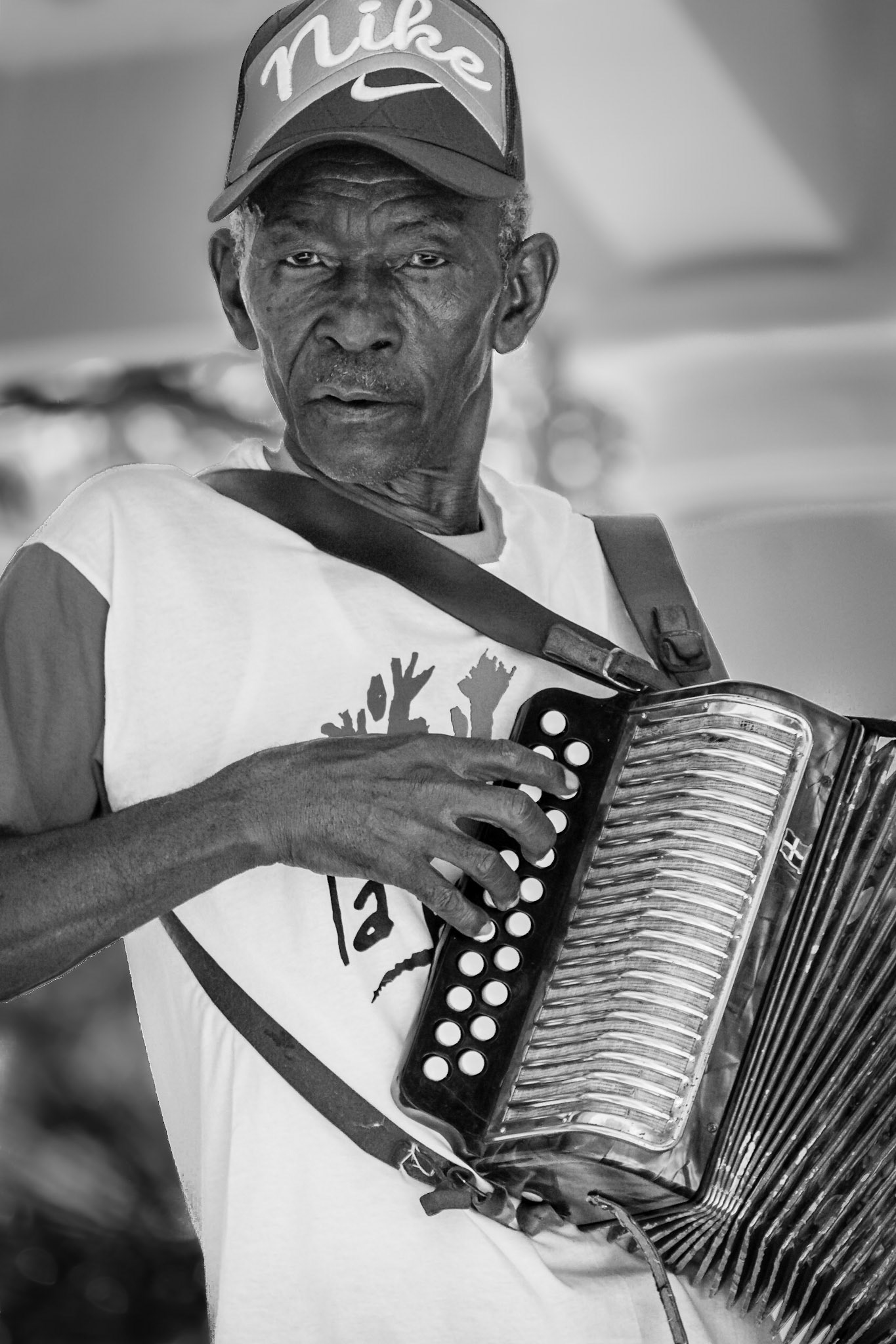 The Button Accordion Player