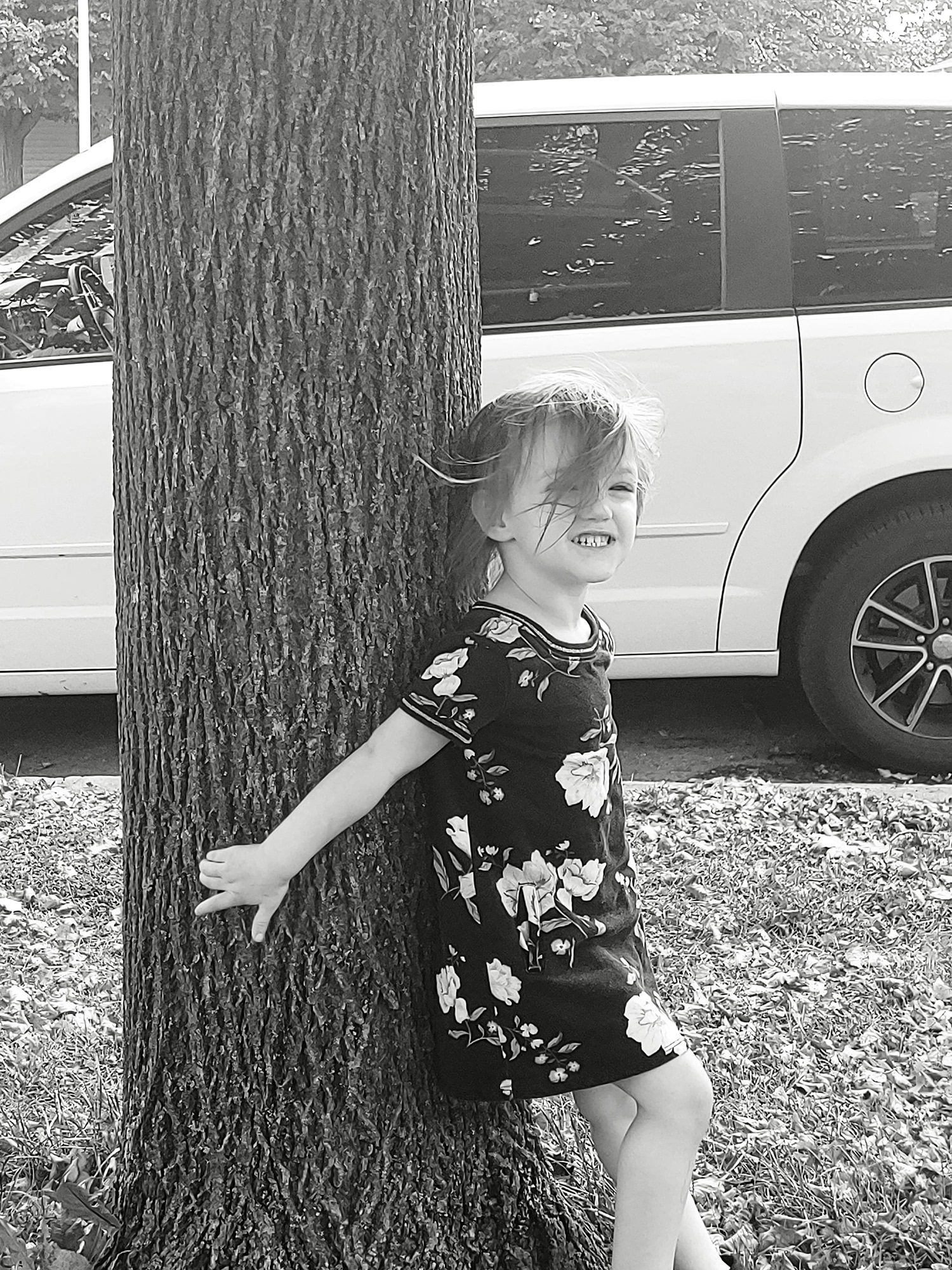Windy Day