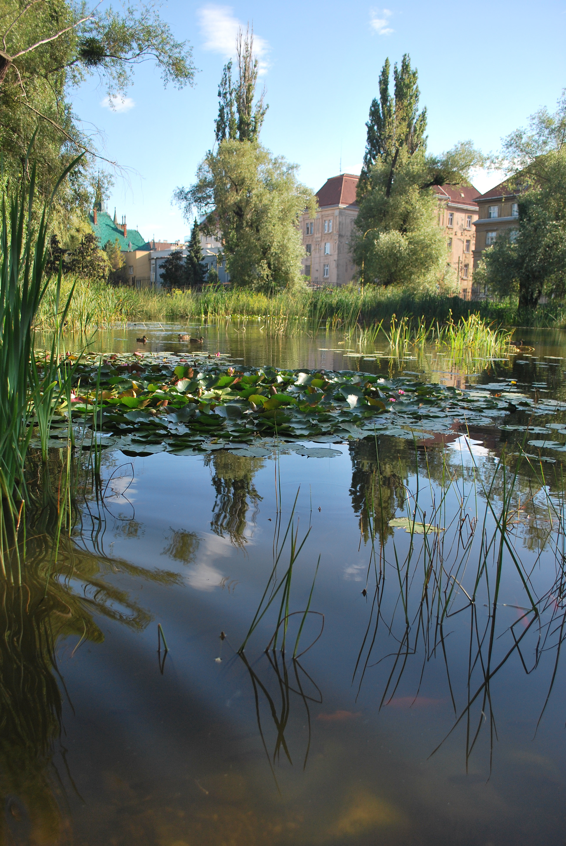 Pohľad na Štefánikovu 6 z mestského parku.