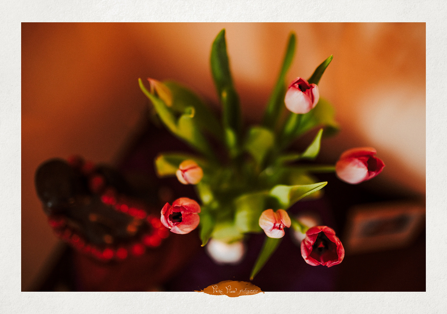 Veni View Photography