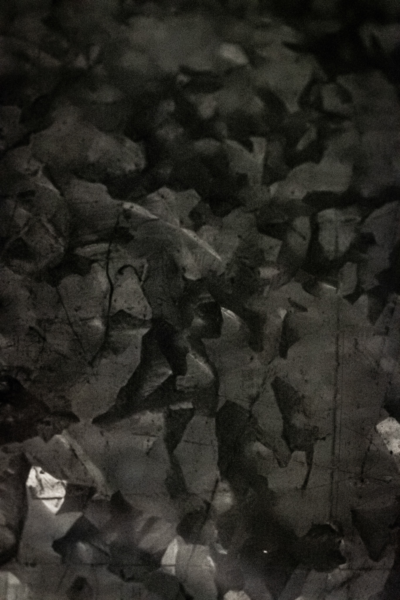 79