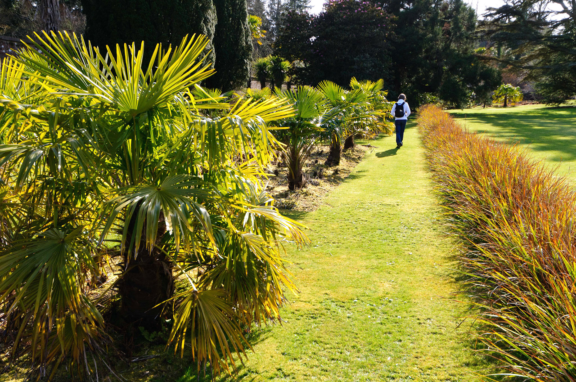 The gardens at Culzean Castle