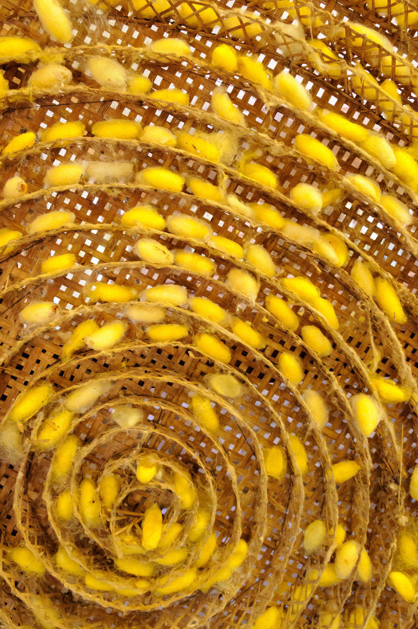 Artisans d'Angkor silk farm