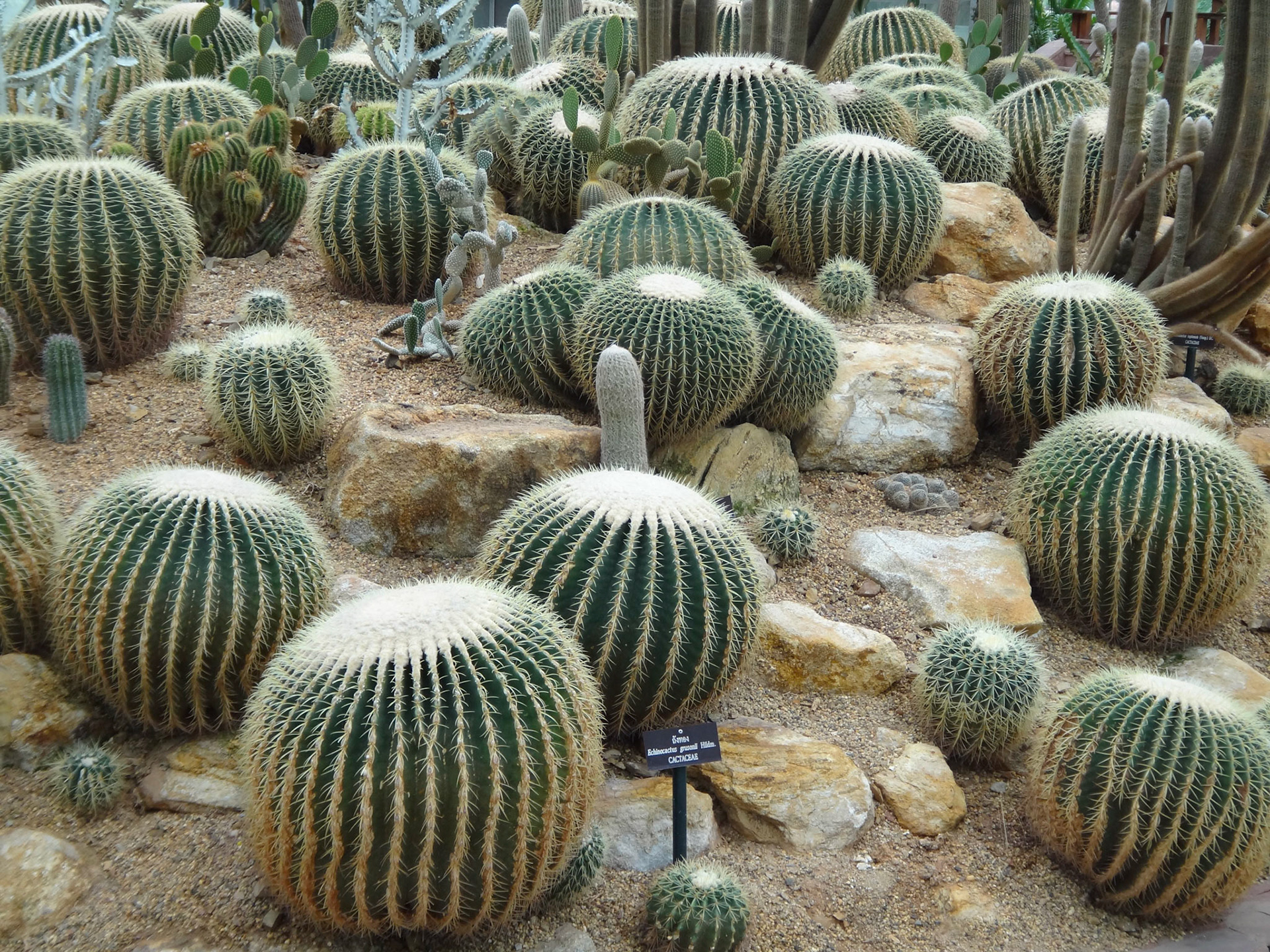 Queen Sirikit Botanic Garde