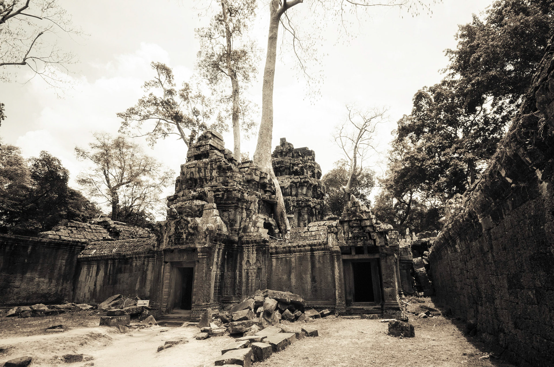Ta Prohm