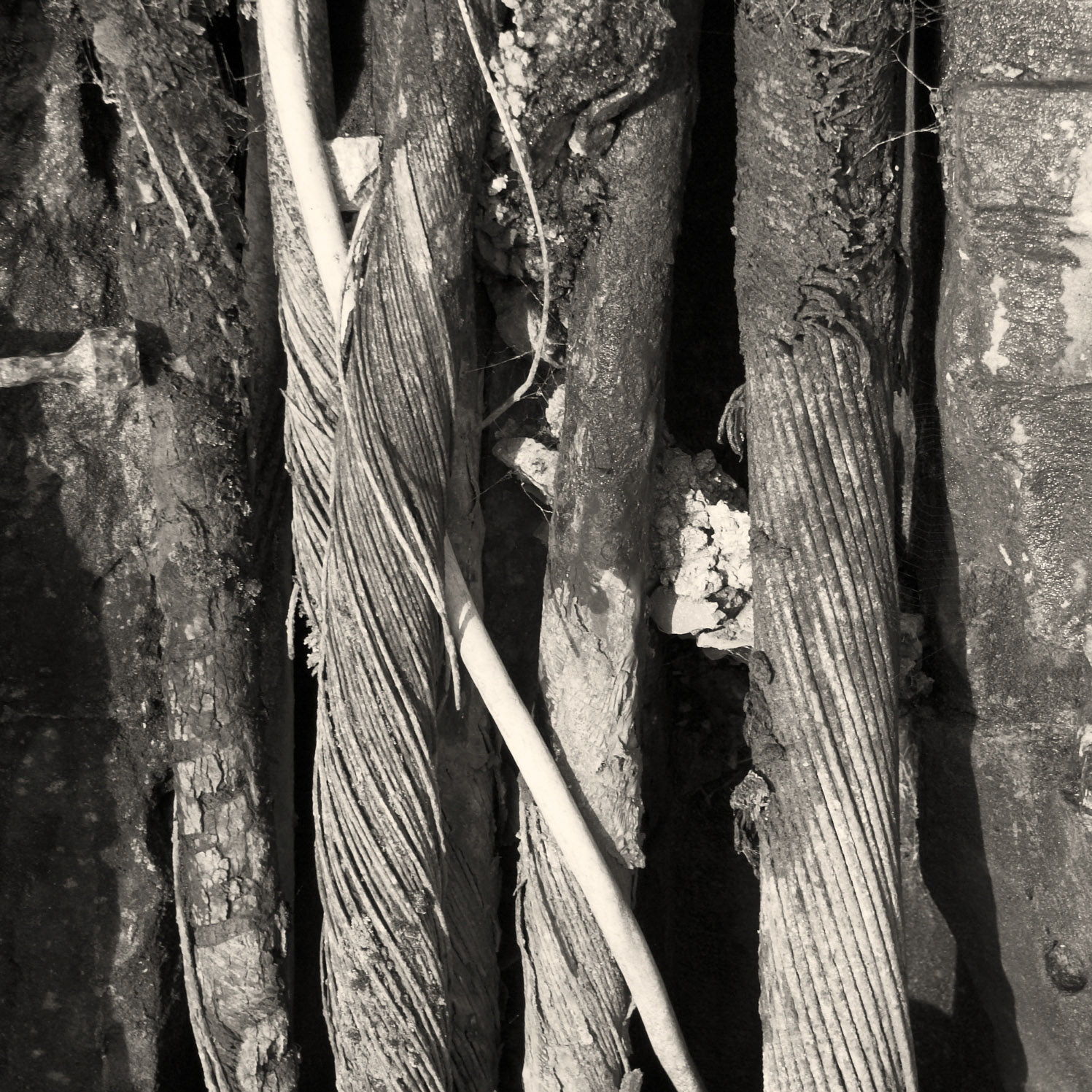 2005-12-13 - Cdf Bay - 0152