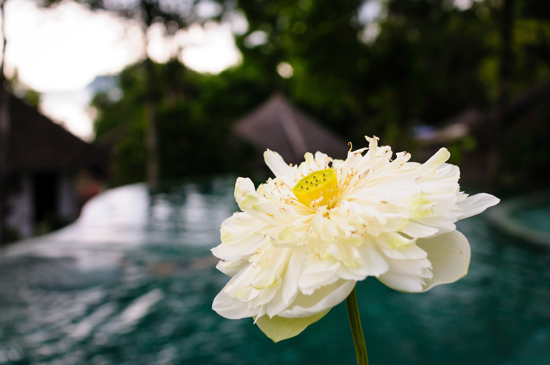 Ao Khlong Prao, Koh Chang