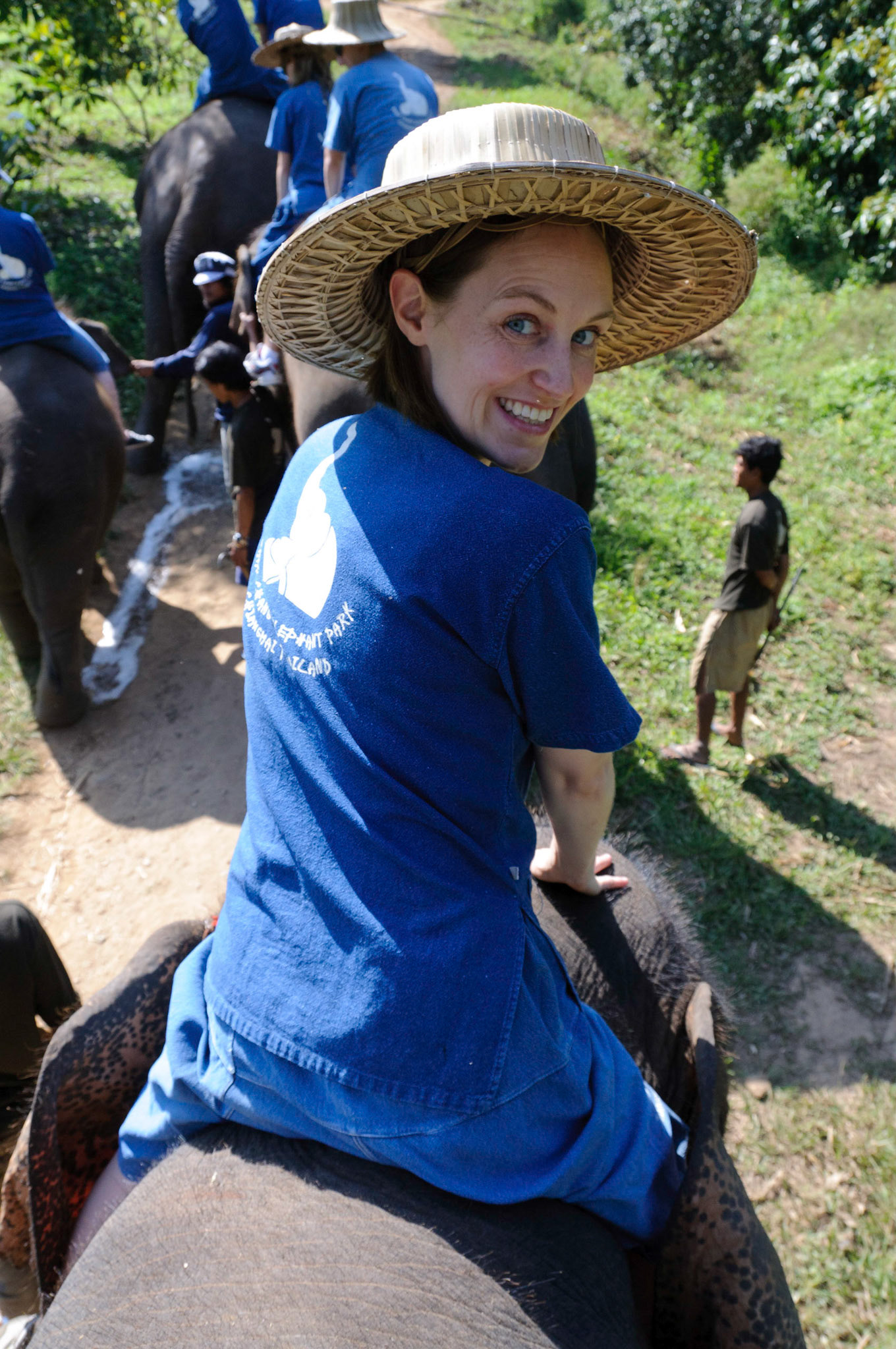Baan Chang Elephant Park, Chiang Mai