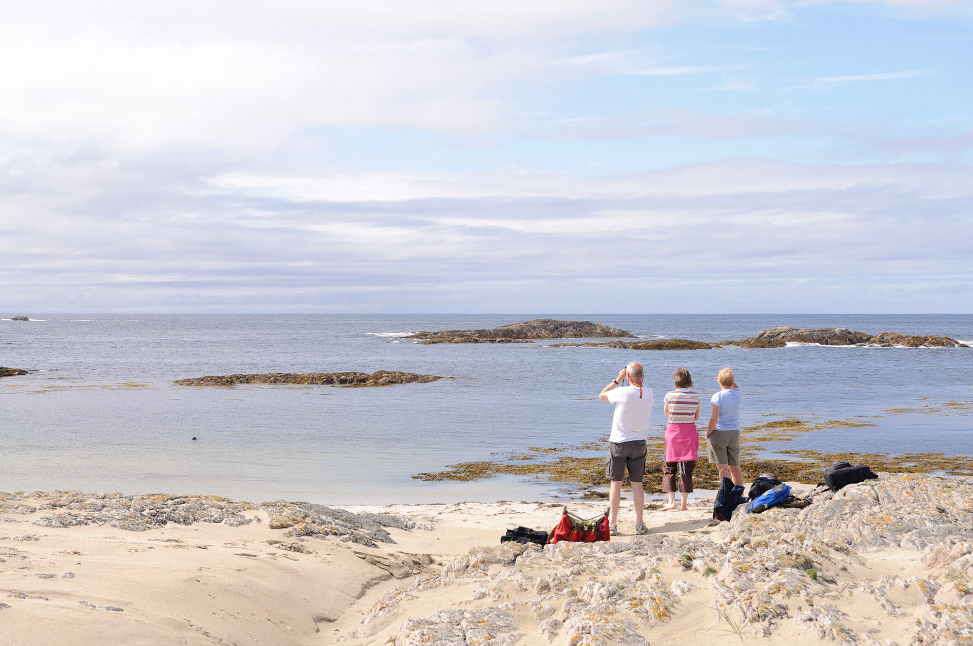 Seal watching people watching seal.