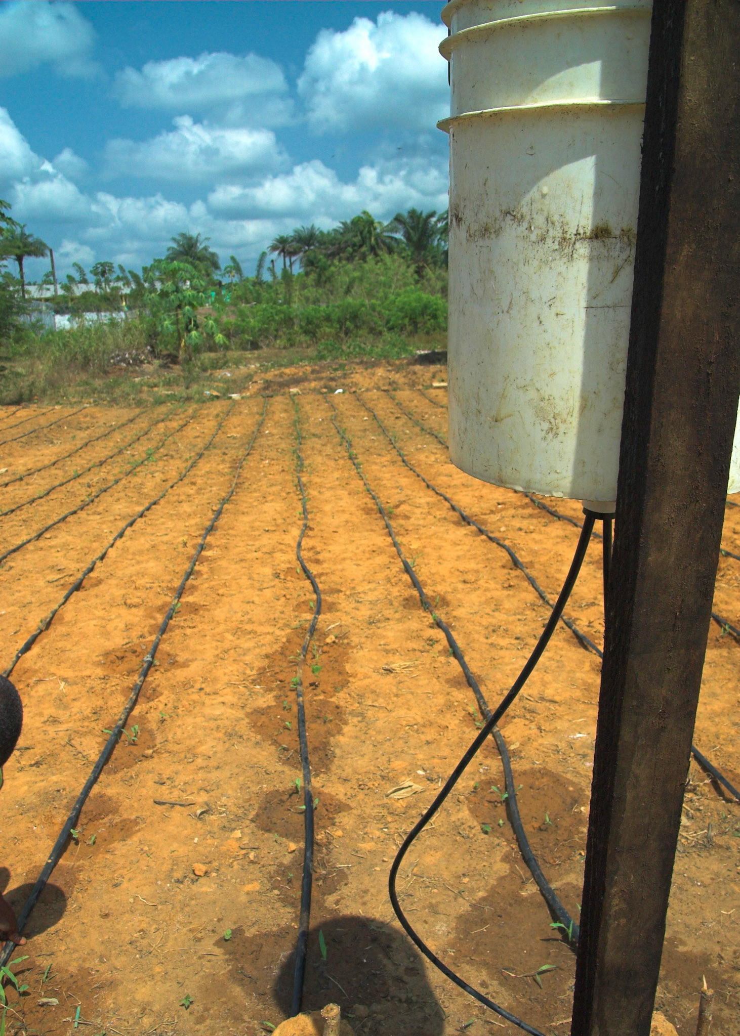 2006-02-04 - Sierra Leone - 0376