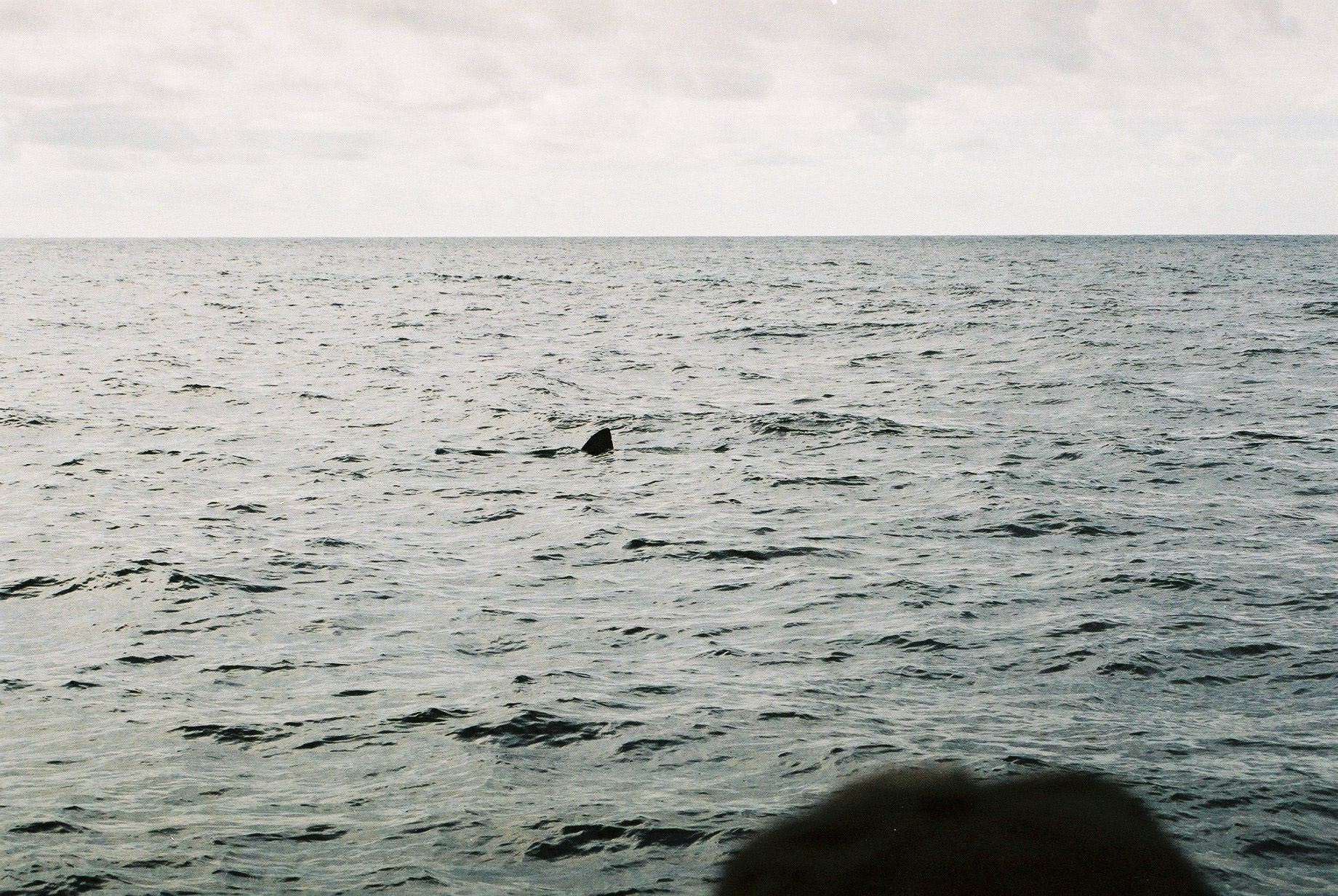 2006-08-31 - Sailing - 0058