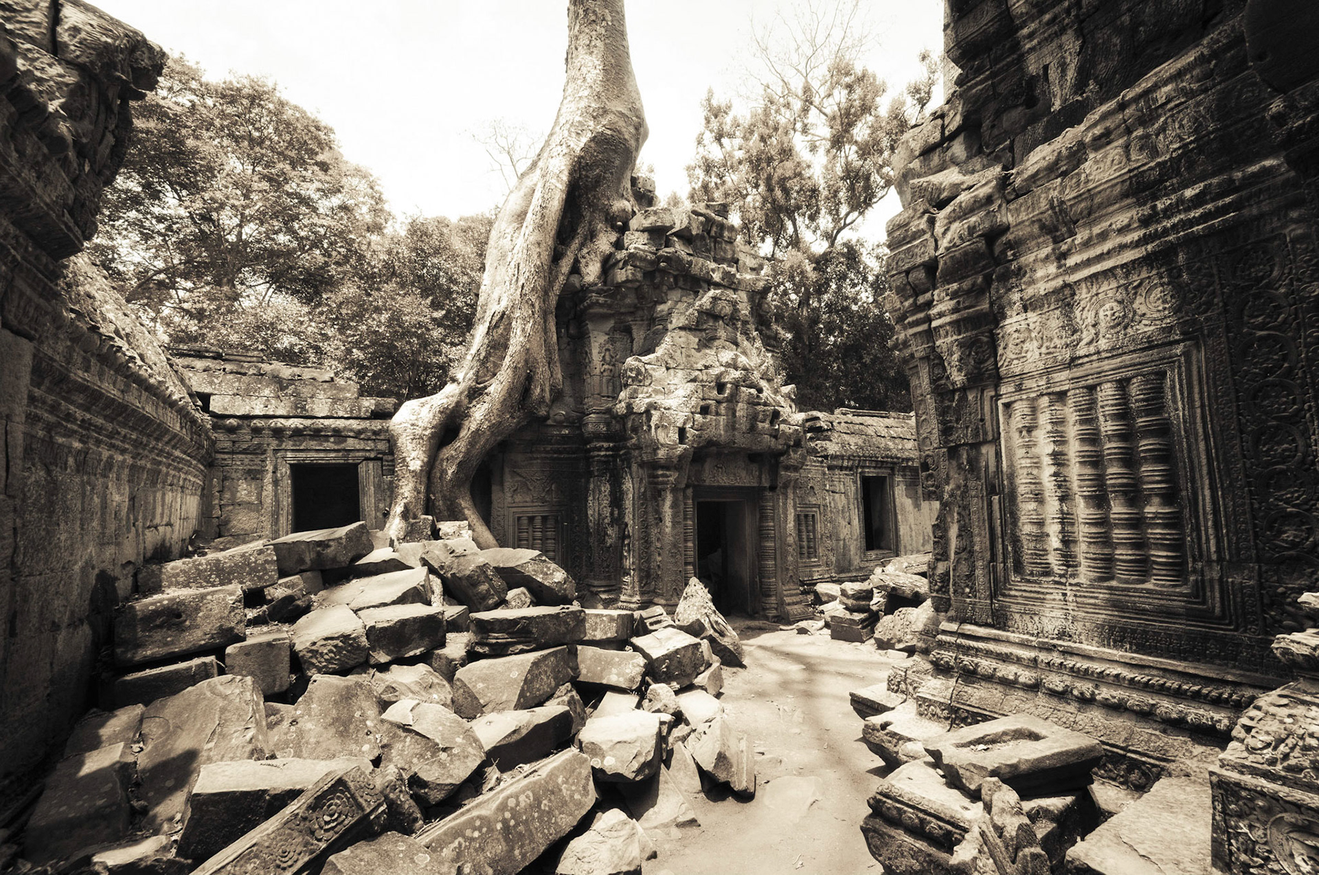 Ta Prohm