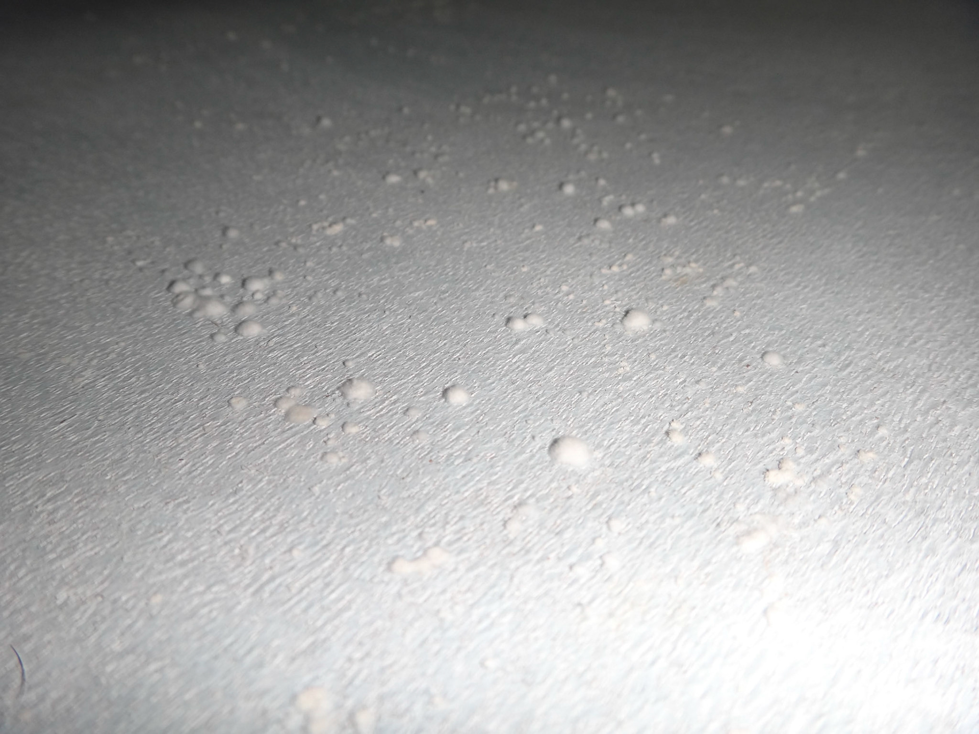 Mould - all over the house