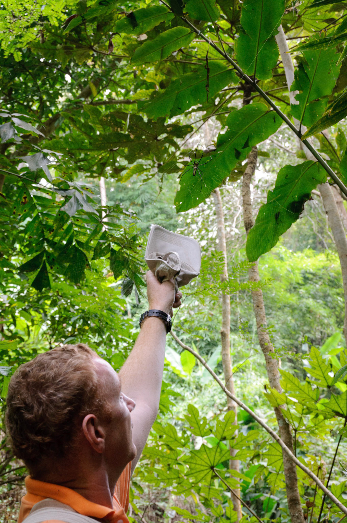Queen Sirikit Botanical Garden, Chiang Mai