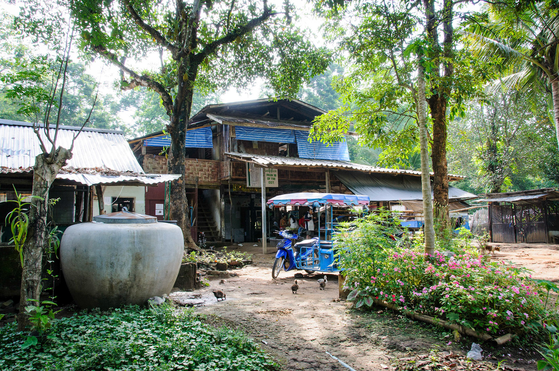 The Safe House 'Adult Home'