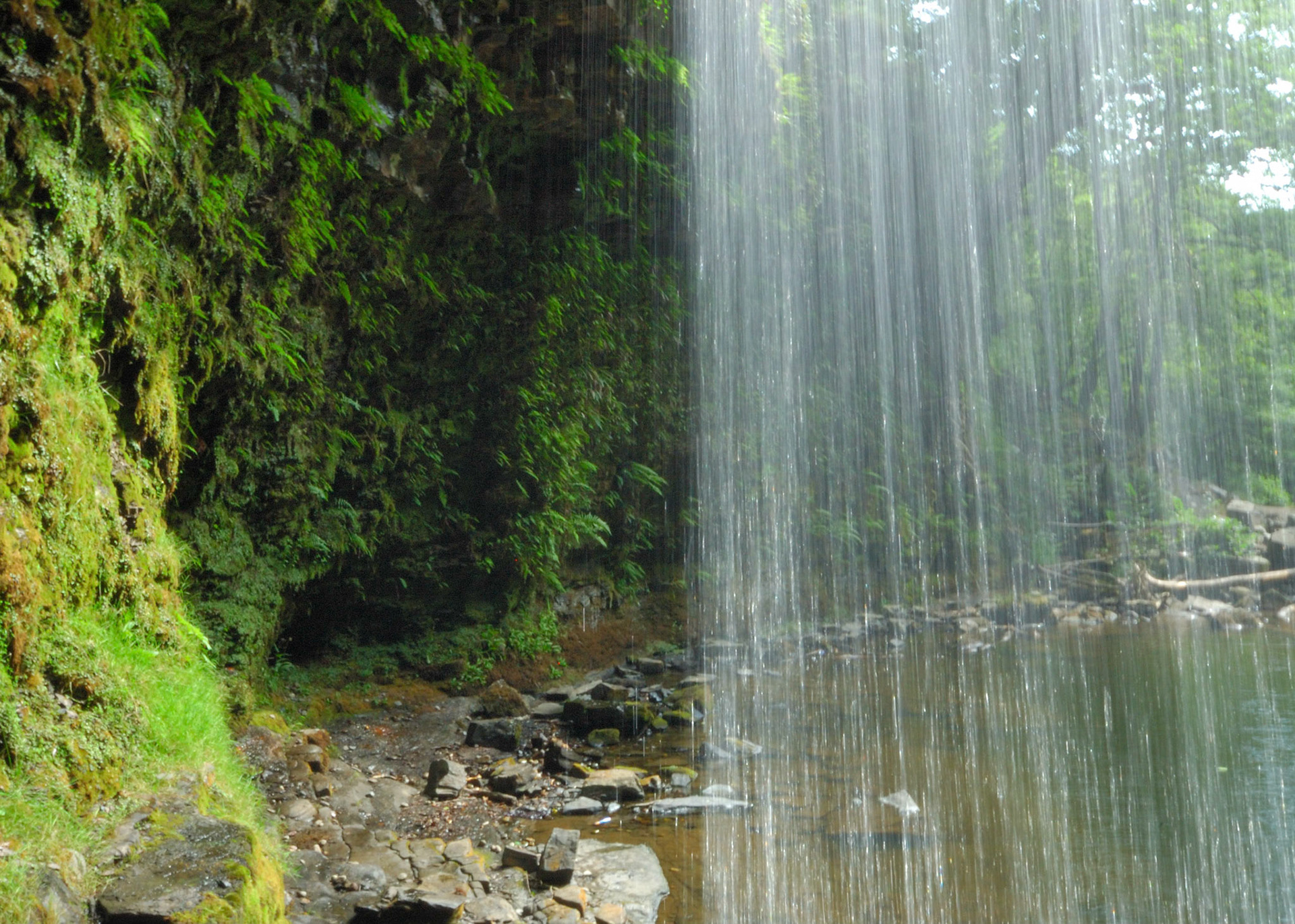 2006-07-29 - Rogers Walk - 0047