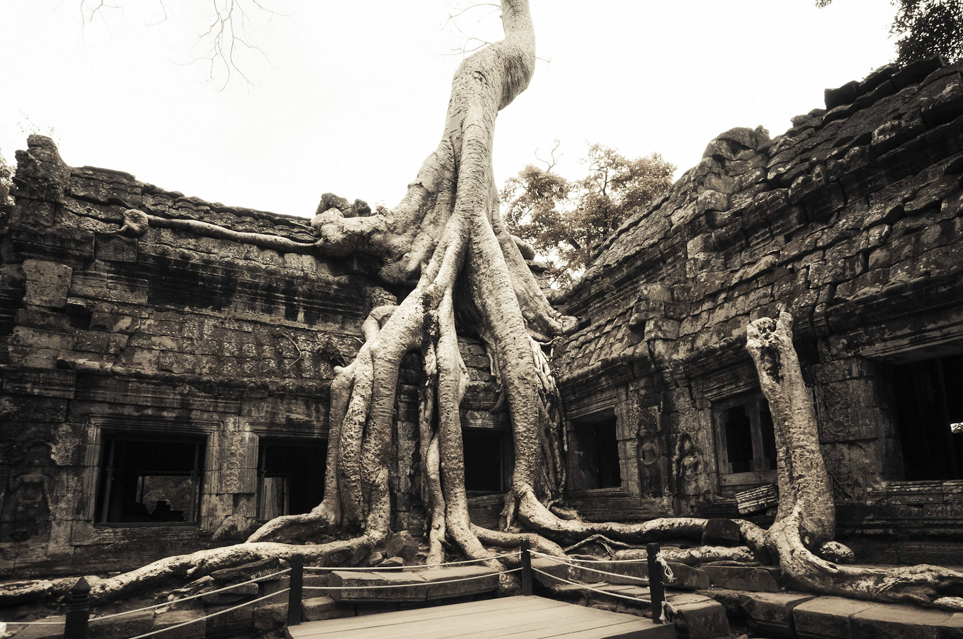 Ta Prohm