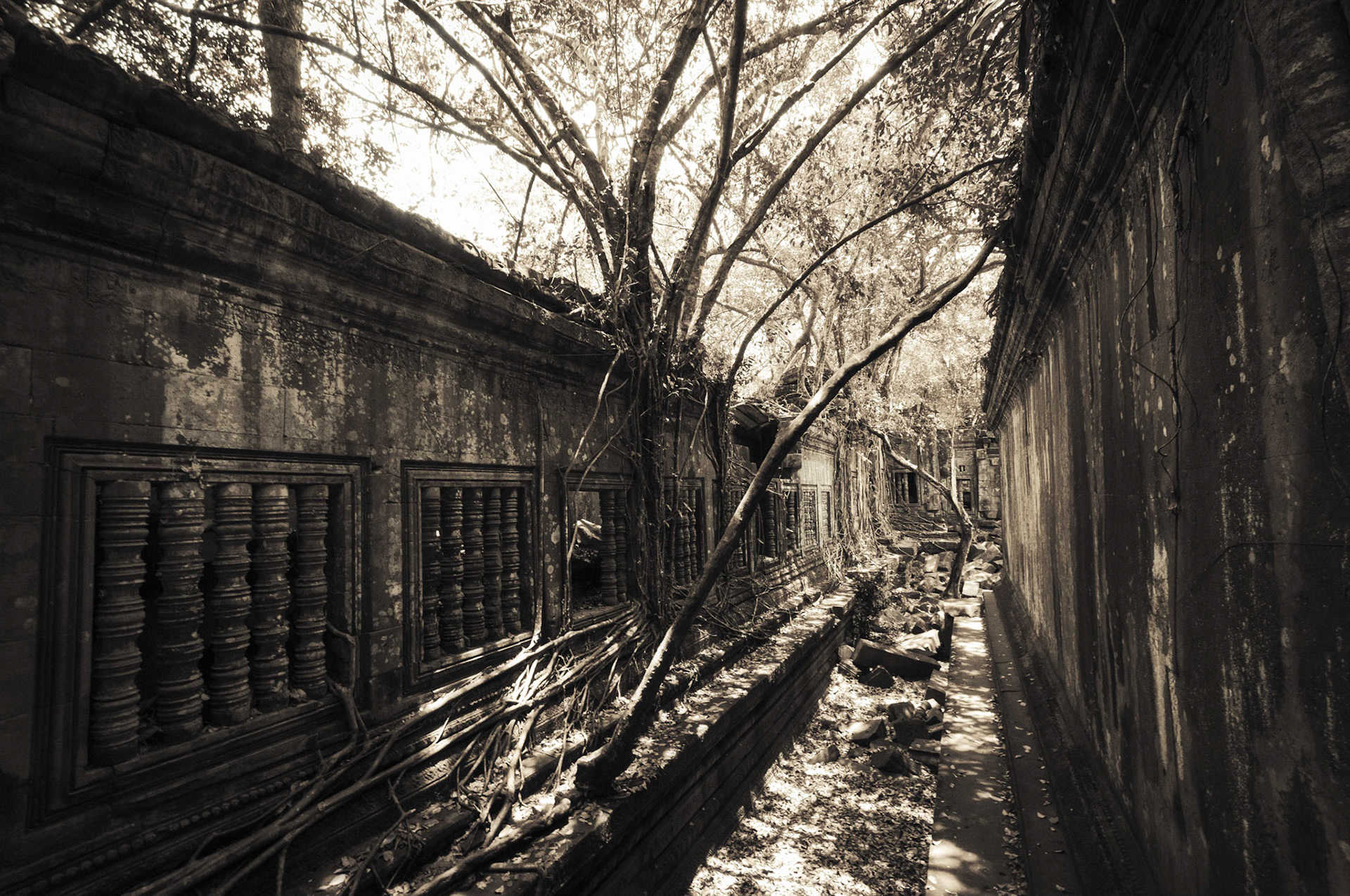 Beng Mealea