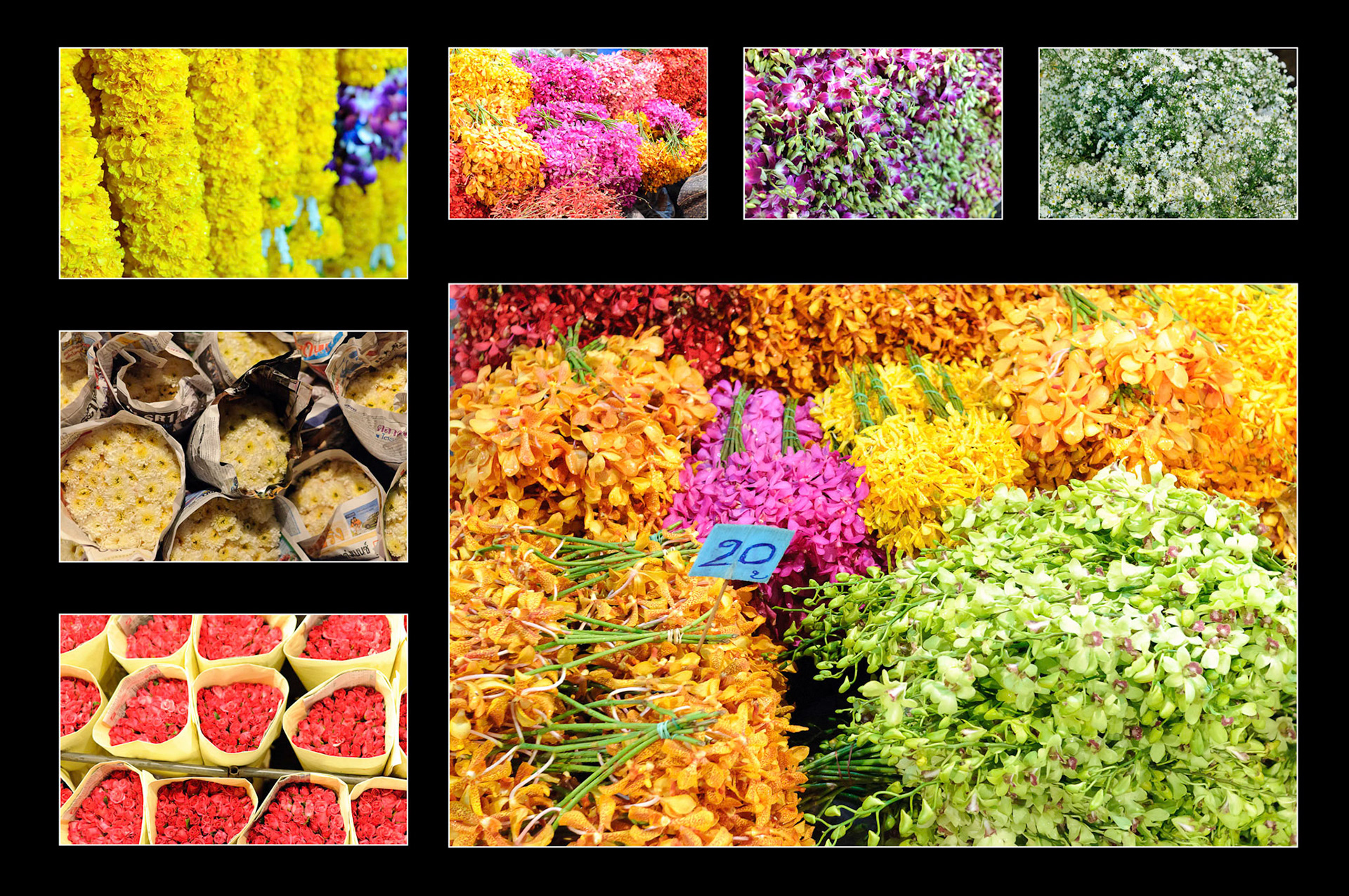 Pat Khlong Market, Bangkok