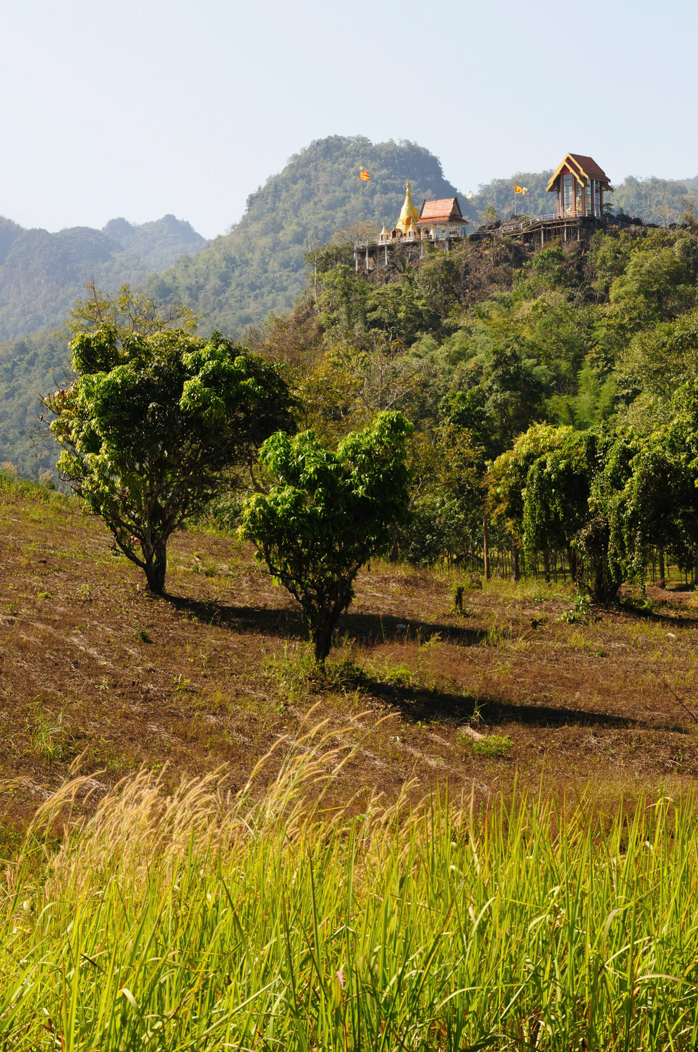 Thong Pha Phum temple