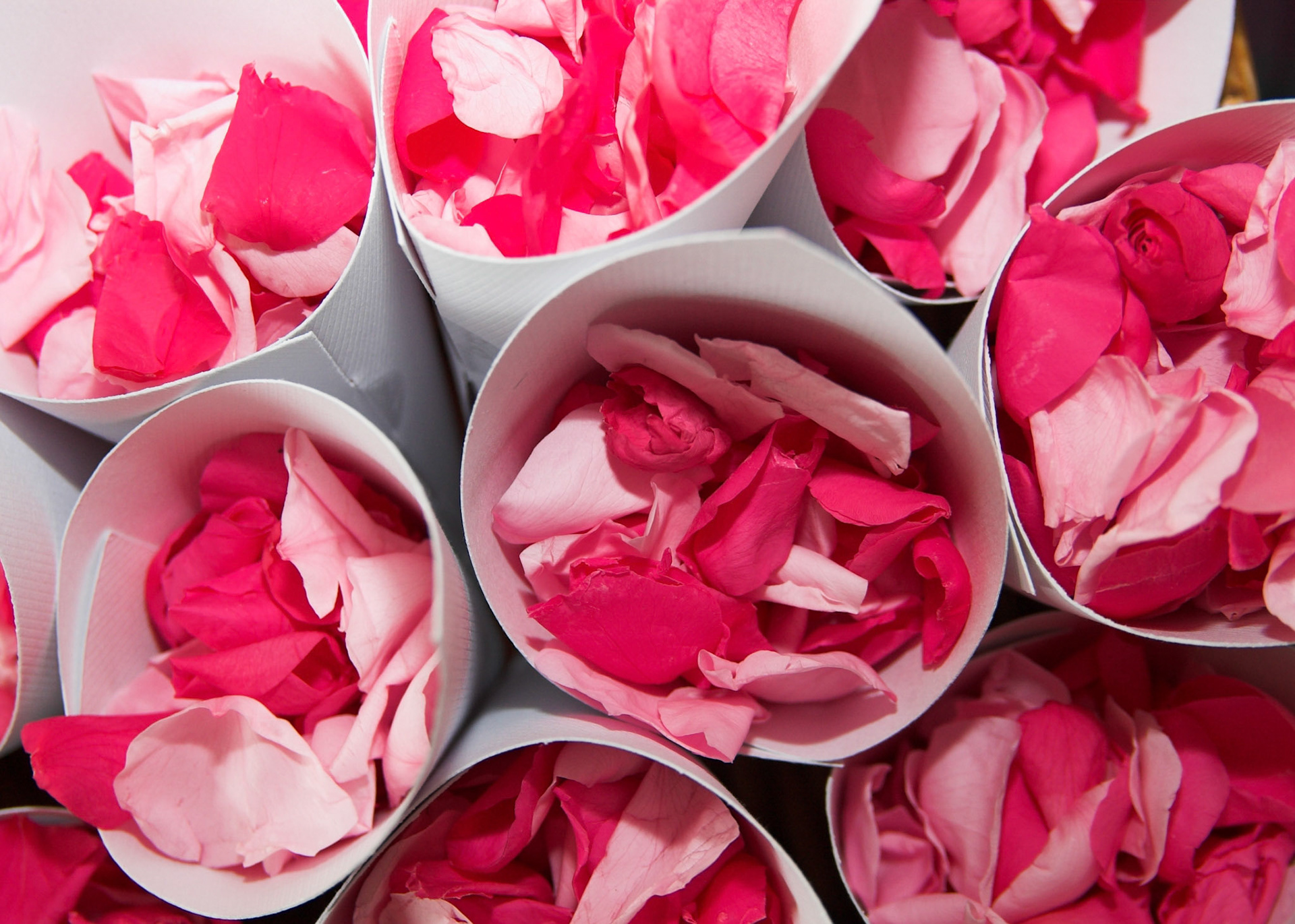 2006-06-30 - Calum Wed - 0096