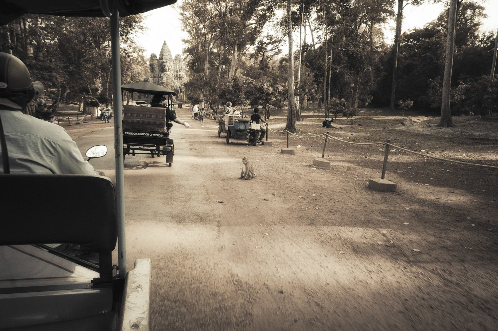 A monkey on the road, near Angkor Thom South Gate