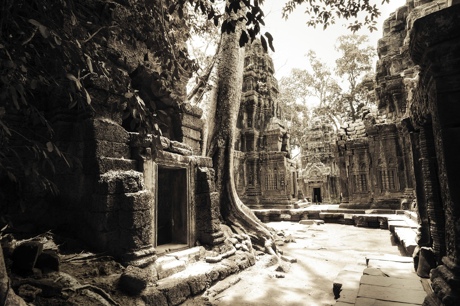 Ta Prohm