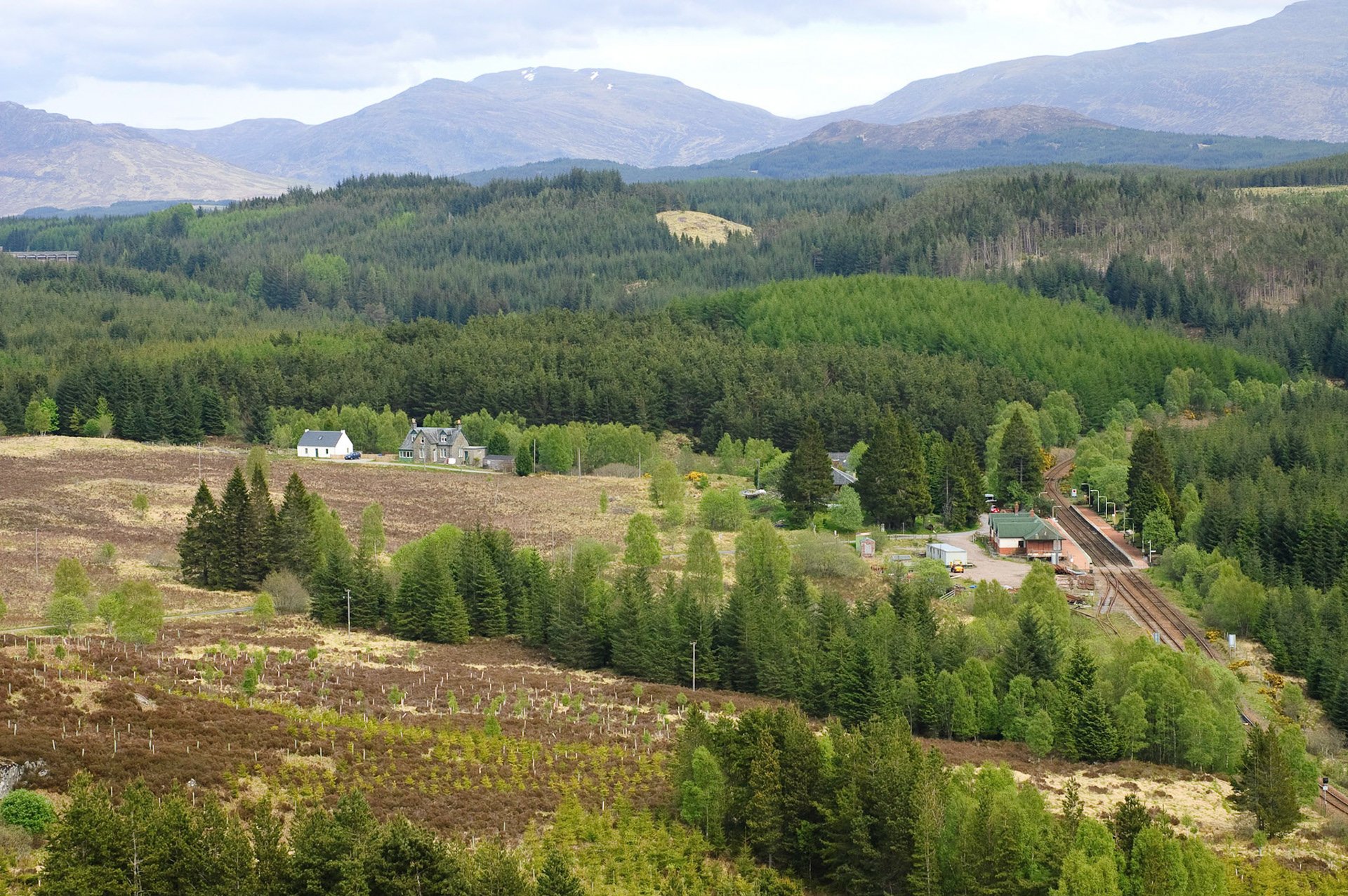 Tulloch has about 6 buildings. Torr an Daimh - the holiday cottage we were staying in - is the white building on the left.