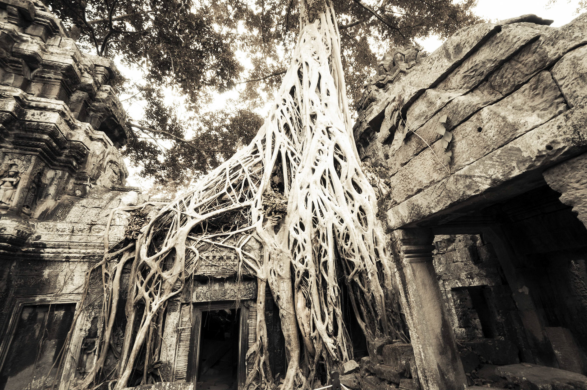 Ta Prohm